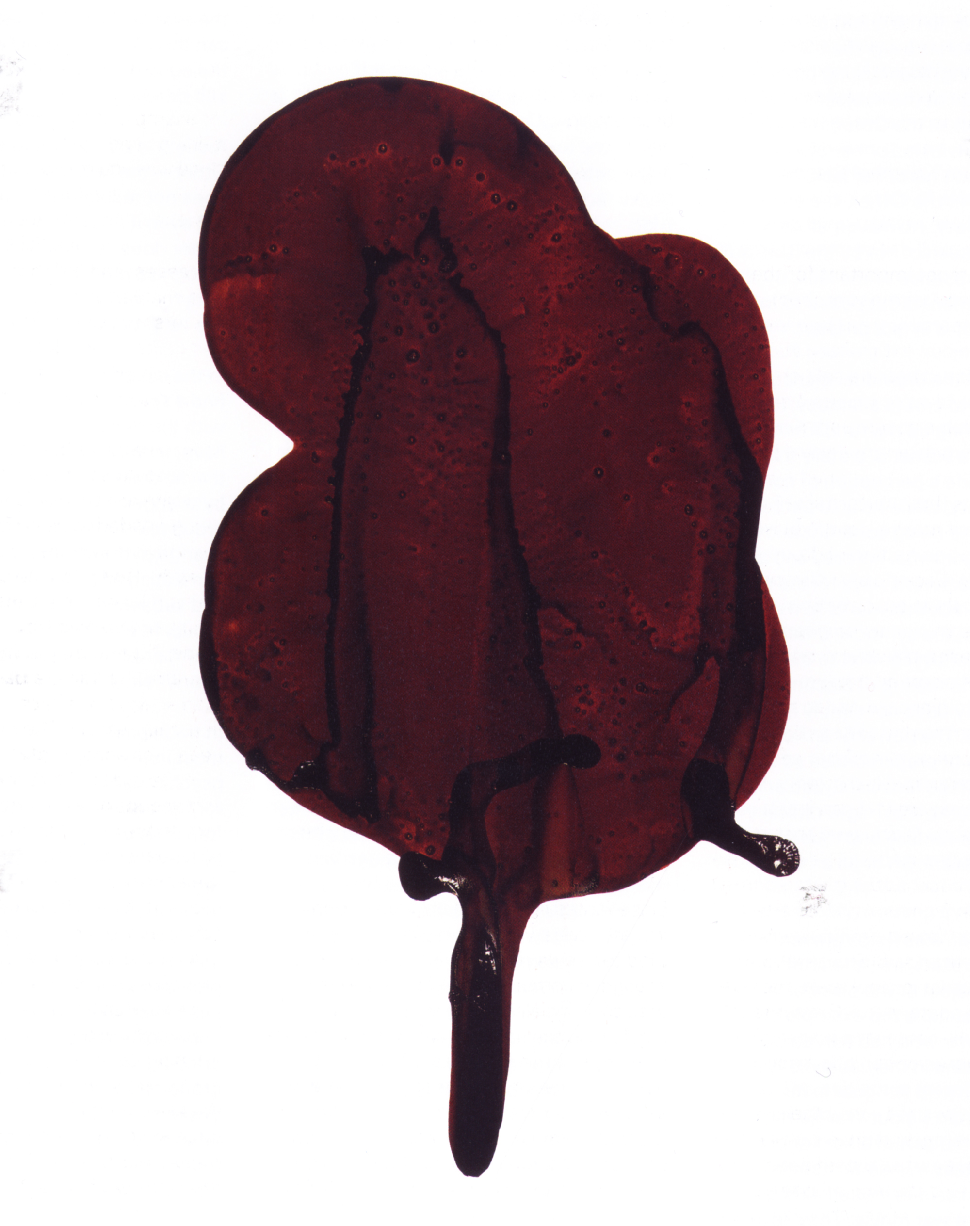 A 1999 work by artist Peter Lew entitled “Untitled #23 (Pig Blood Series).”