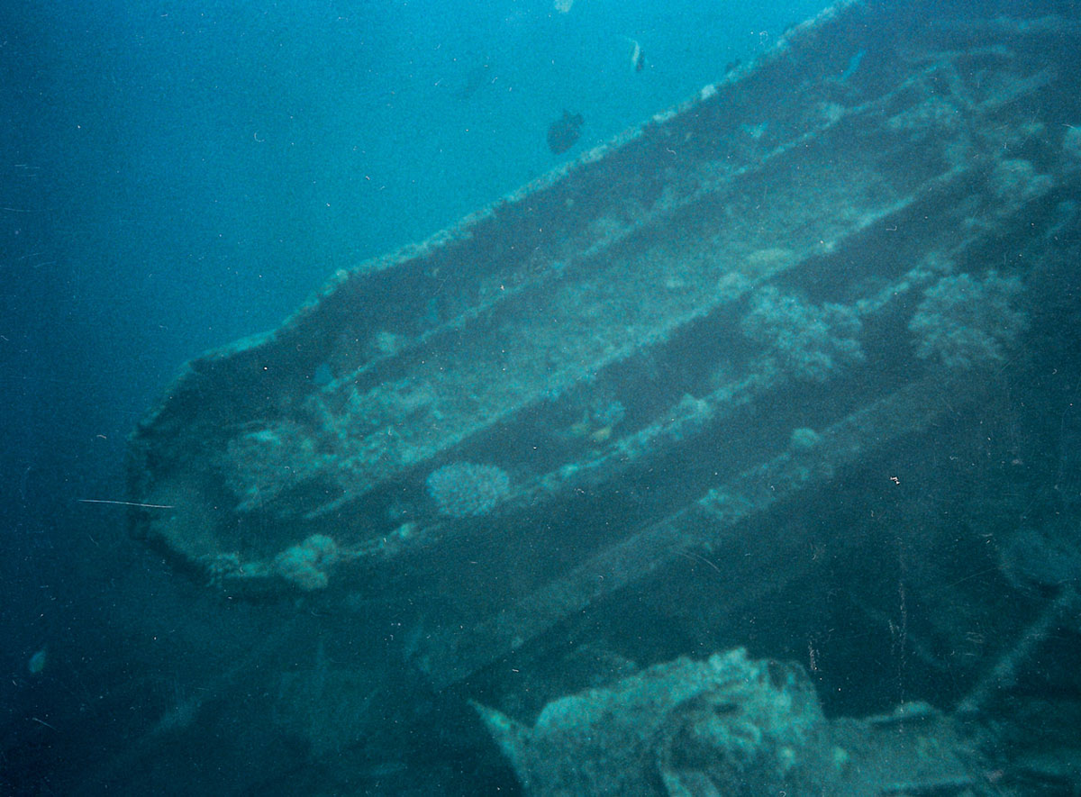 An underwater photograph of a submerged tank at Million Dollar Point.