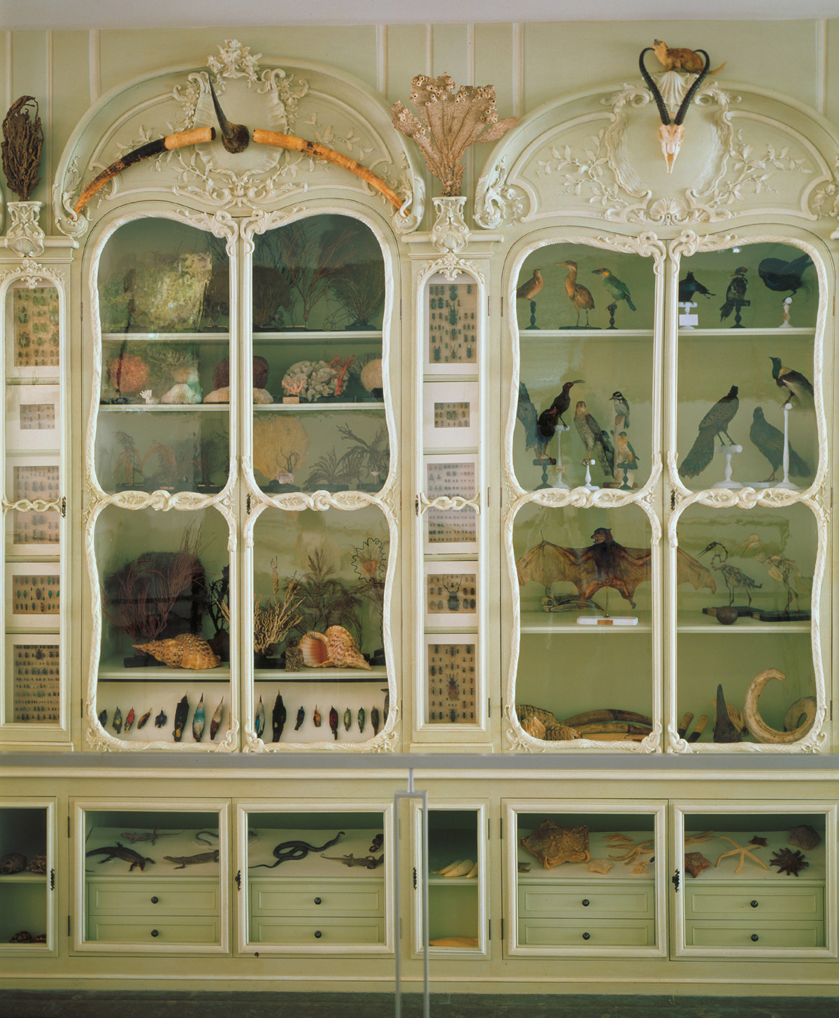 A photograph of Bonnier de la Mosson’s Second Cabinet of Natural History as it stands today.
