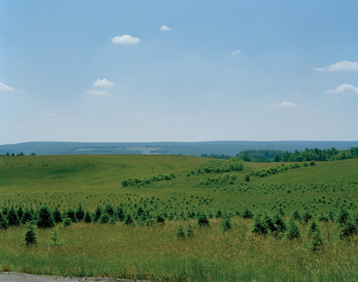 A photograph of a landscape depicting mine reclamation in progress, Clearfield County, Pennsylvania.