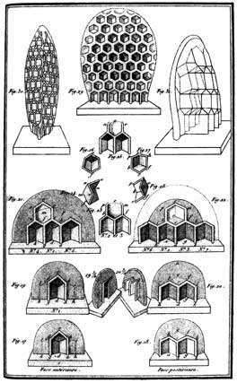 Plumb Rule