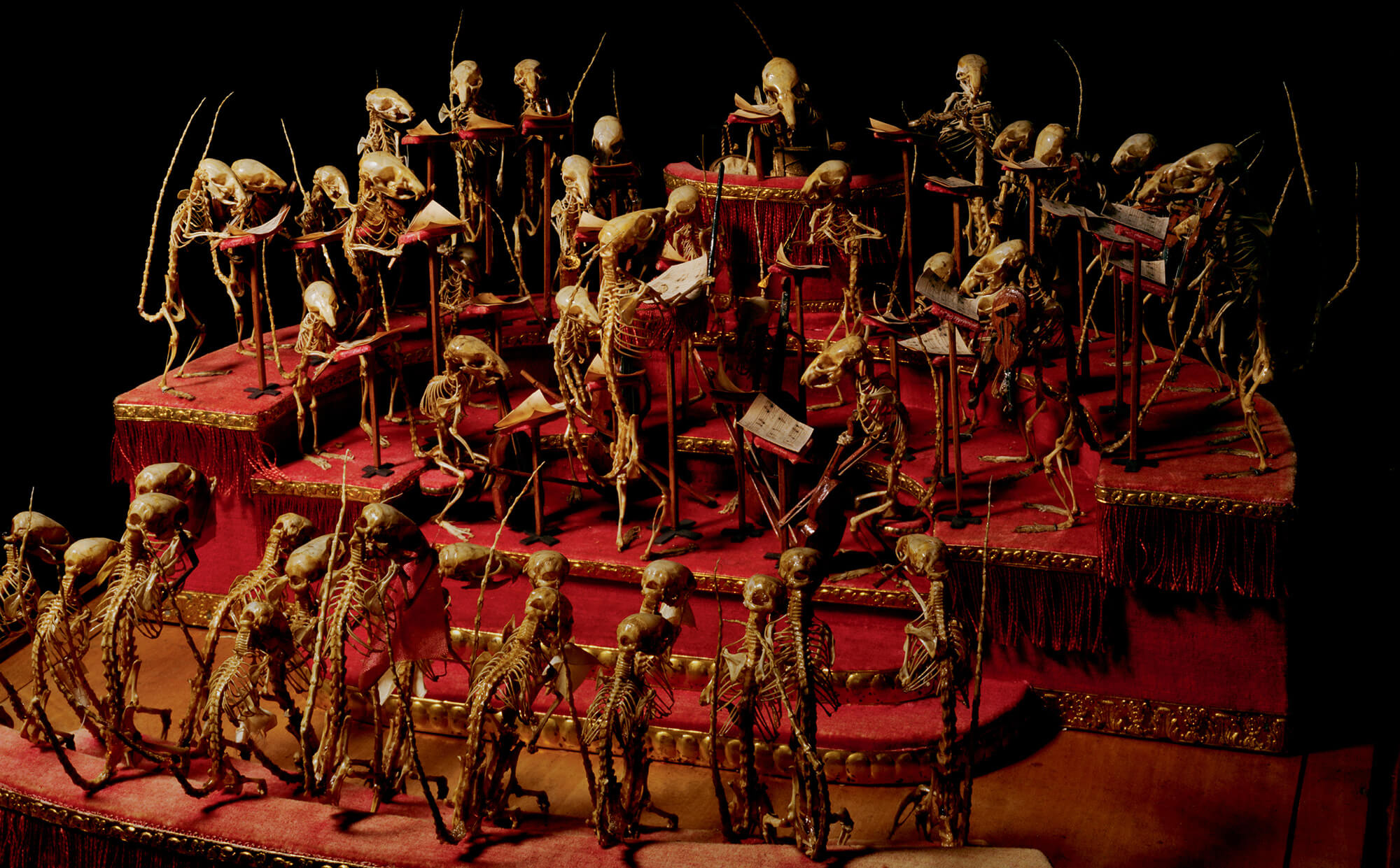 A photograph by Lena Herzog of fifty mice skeletons arrayed as a performing orchestra and attentive audience.