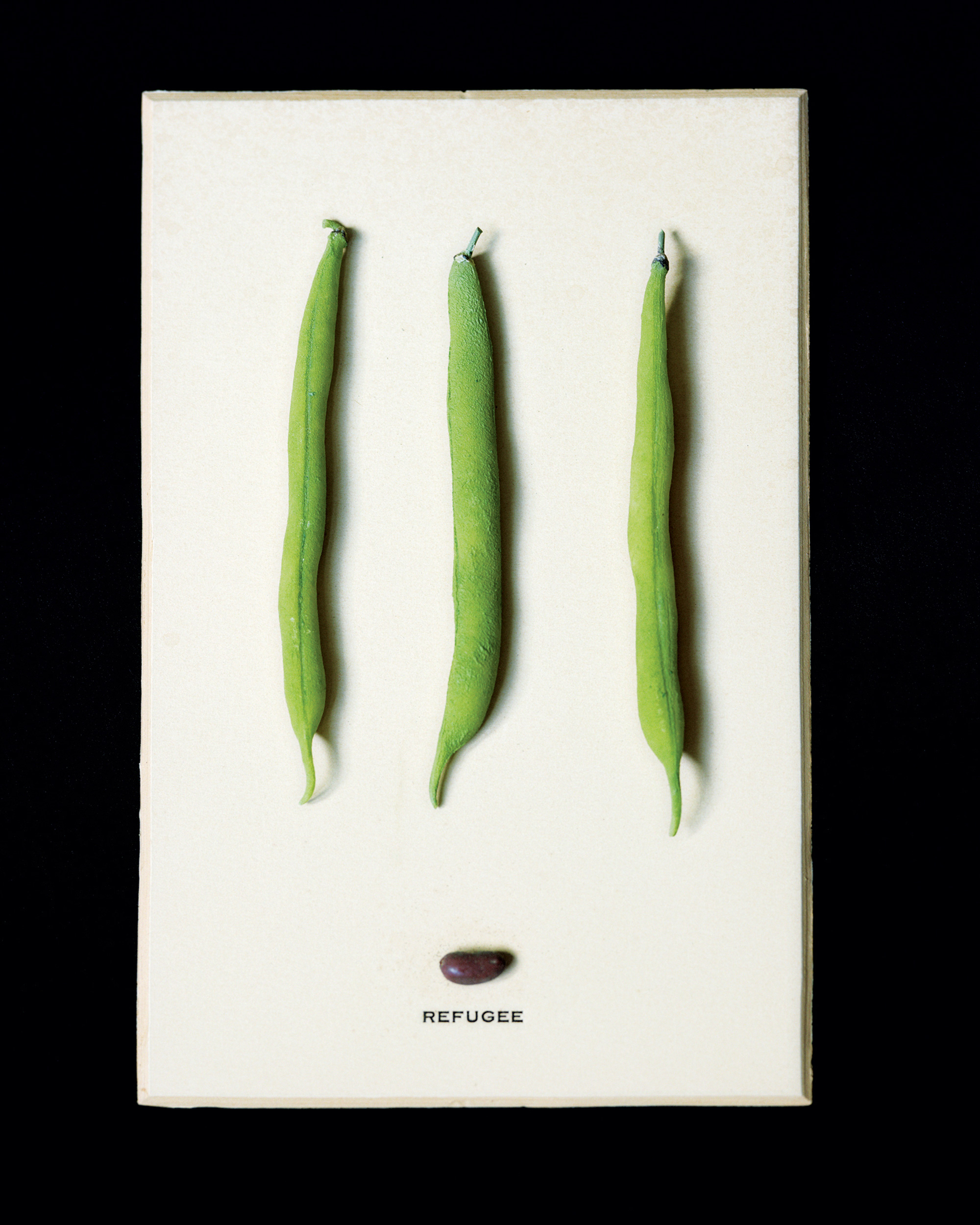 A two thousand and nine wax agricultural model of string beans titled “Refugee.”