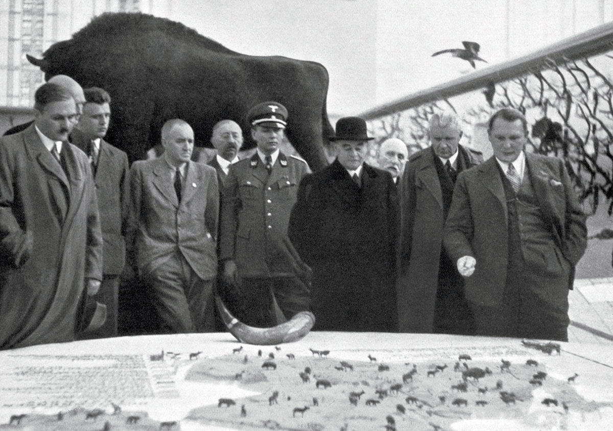 A photograph from a nineteen thirty-seven catalogue of a group of men, including Lutz Heck and Hermann Göring, examining a relief map of the Białowieża Forest. The tiny figures represent characteristic game animals (elk, red deer, etc.); in the background a stuffed European bison looms.
