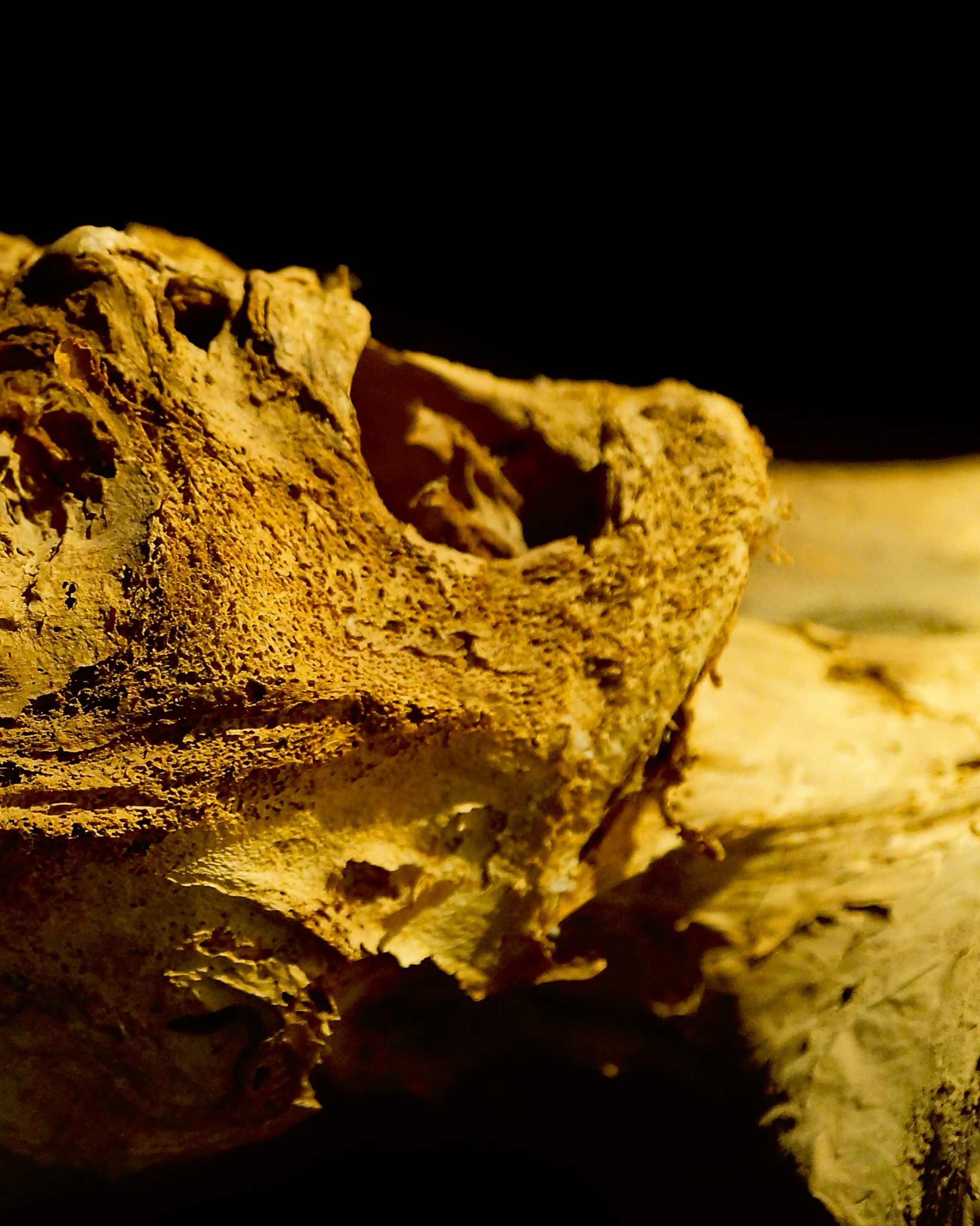 A close-up photograph of a mummified face.