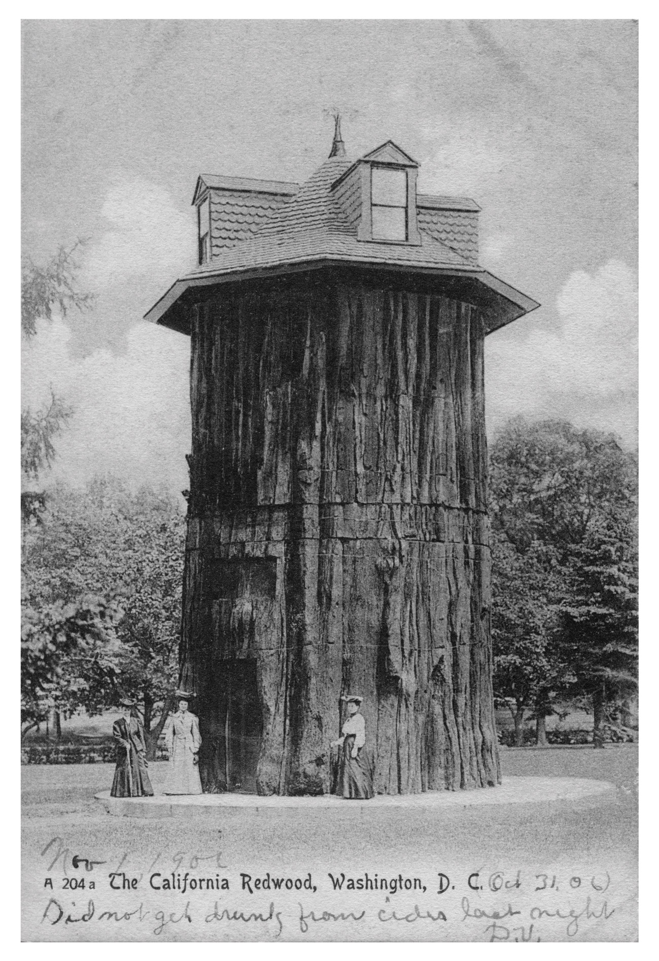 The front of this issue’s postcard depicting a house built atop a redwood tree stump.