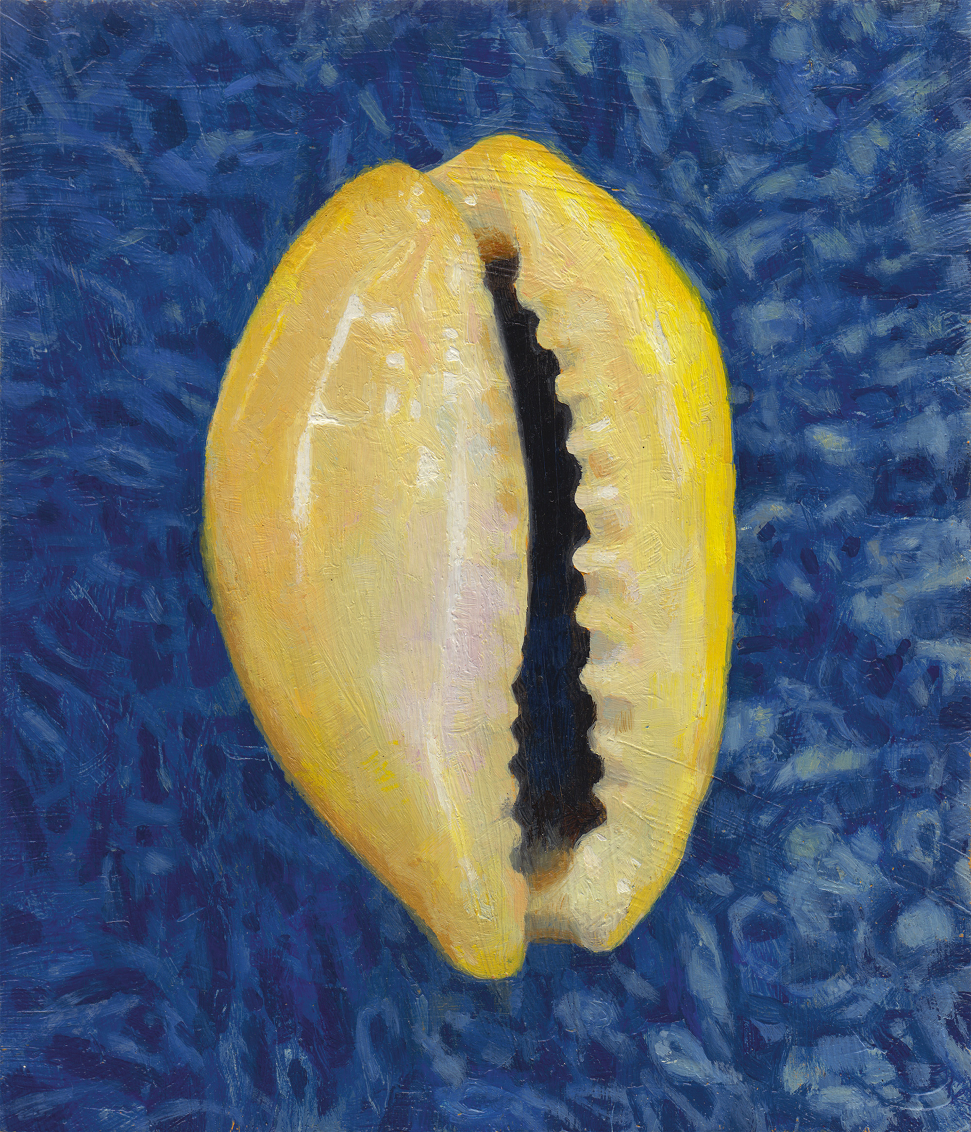 A two thousand and thirteen painting of a cowrie money shells by Conrad Bakker from his project titled “Untitled Project: eBay, Cypraea moneta.” 