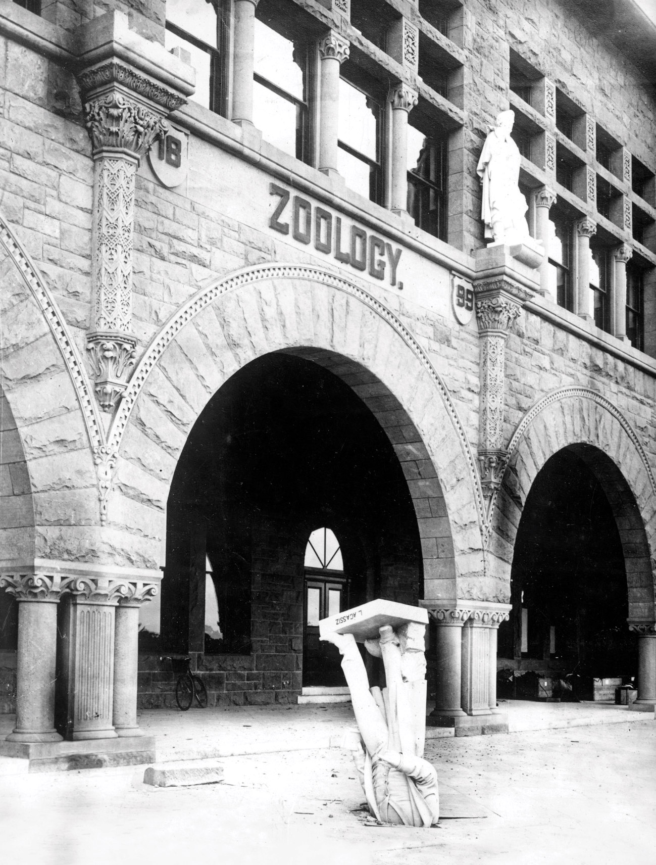 A postcard depicting a photograph of a statue that had toppled headfirst off the Stanford University Zoology building and been wedged into the ground with its feet in the air.