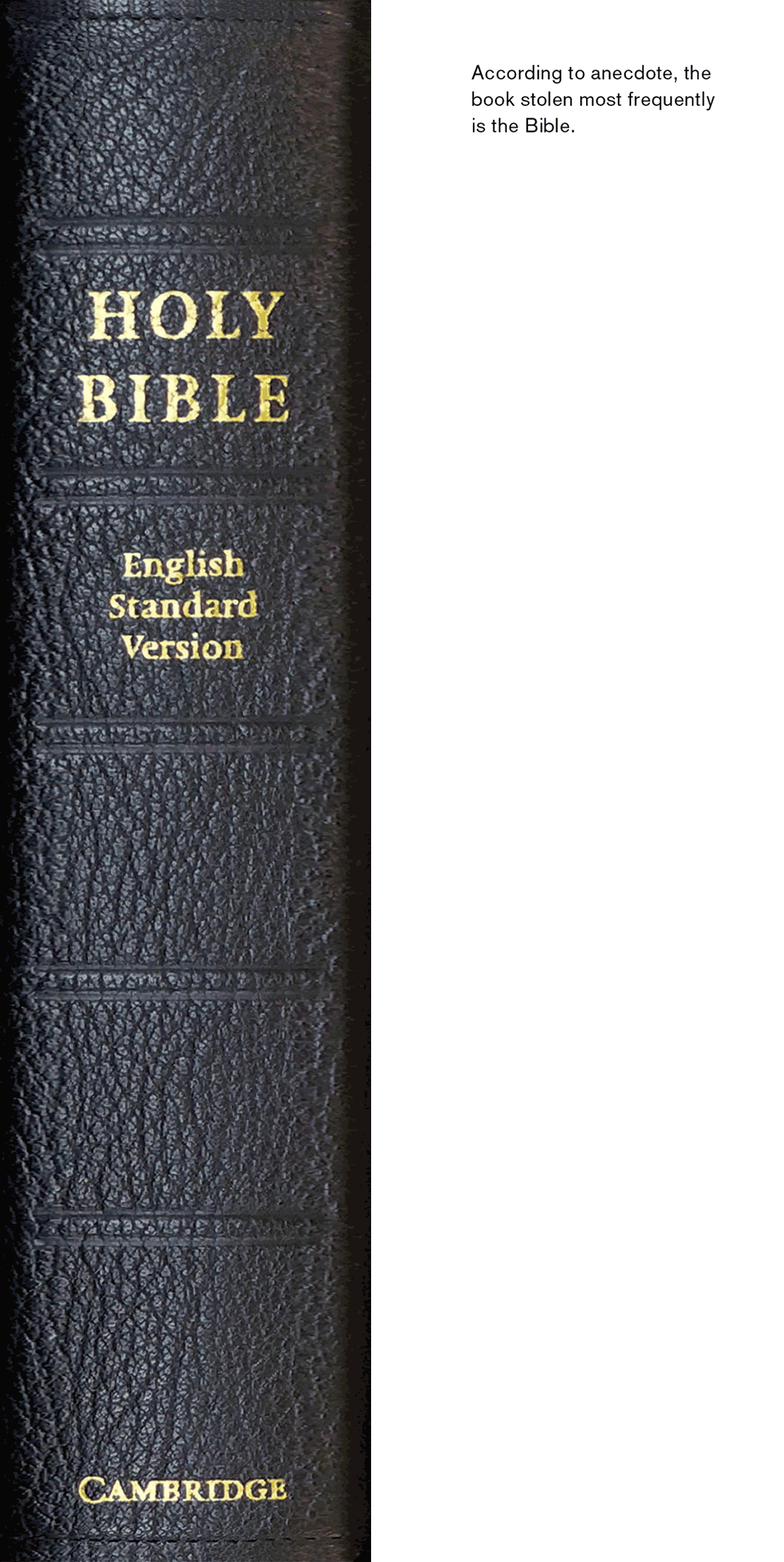 A bookmark depicting the spine of the “Holy Bible, English Standard Version.” The back of the bookmark reads “According to the anecdote, the book stolen most frequently is the Bible.”