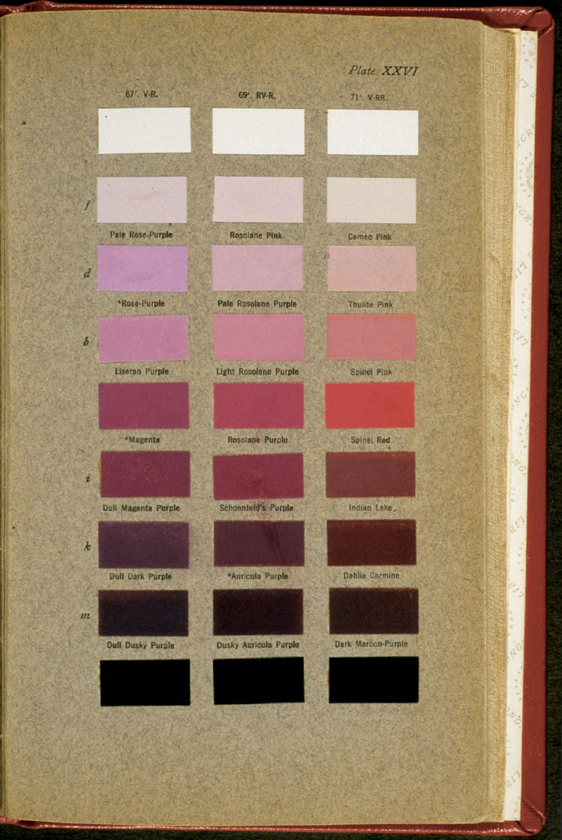 A page from Robert Ridgway’s “Color Standards and Color Nomenclature” showing pinks and purples.