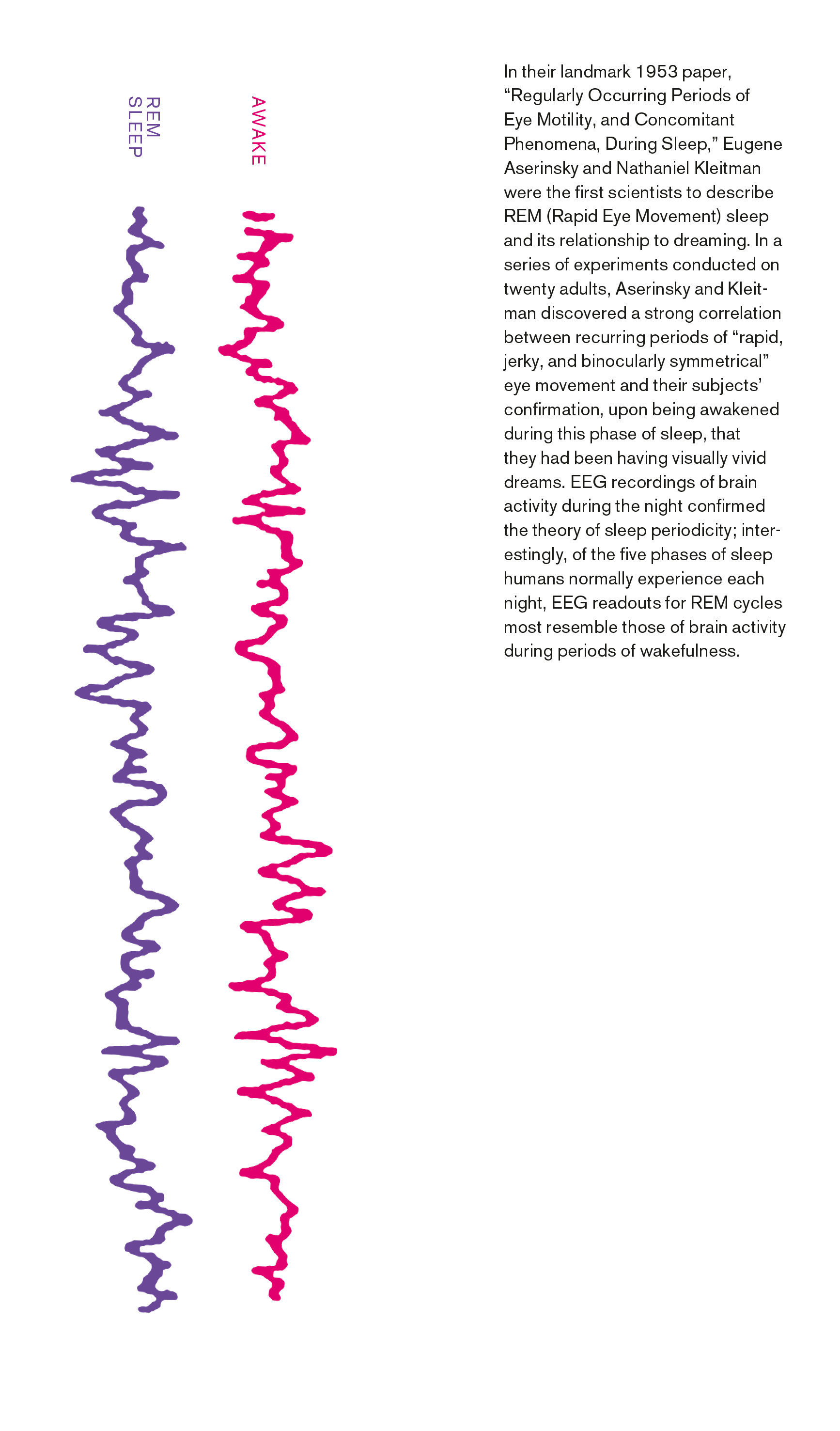 A bookmark depicting two EEG recordings of brain activity, one when awake, one in REM sleep, alongside the caption “NO RESPITE EVEN WHEN ASLEEP.” The back of the bookmark reads “In their landmark 1953 paper, “Regularly Occurring Periods of Eye Motility, and Concomitant Phenomena, During Sleep,” Eugene Aserinsky and Nathaniel Kleitman were the first scientists to describe REM (Rapid Eye Movement) sleep and its relationship to dreaming. In a series of experiments conducted on twenty adults, Aserinsky and Kleit- man discovered a strong correlation between recurring periods of “rapid, jerky, and binocularly symmetrical” eye movement and their subjects’ confirmation, upon being awakened during this phase of sleep, that they had been having visually vivid dreams. EEG recordings of brain activity during the night confirmed the theory of sleep periodicity; interestingly, of the five phases of sleep humans normally experience each night, EEG readouts for REM cycles most resemble those of brain activity during periods of wakefulness.”
