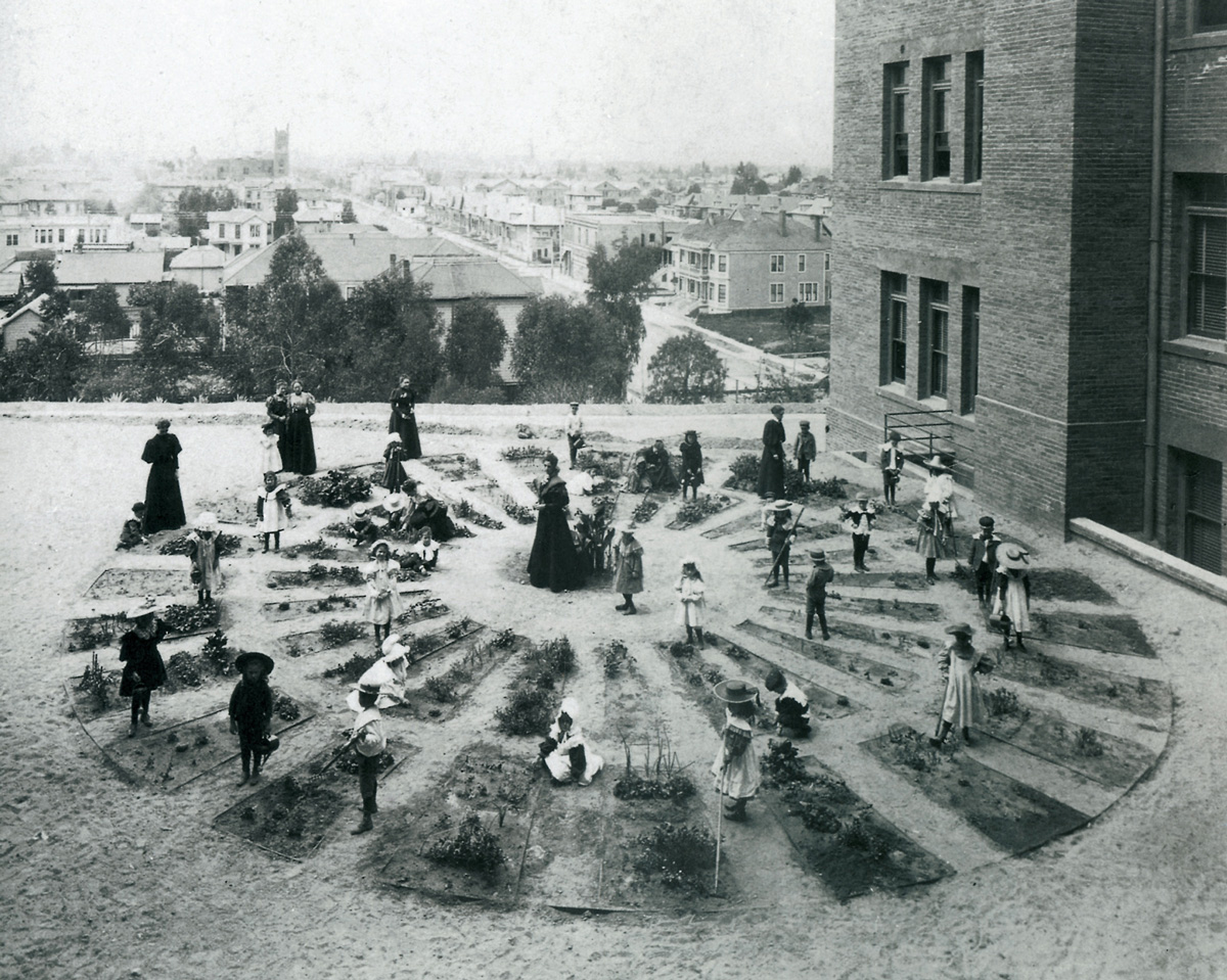 A photograph of a children’s garden at an unidentified kindergarten in Los Angeles, circa 1900.