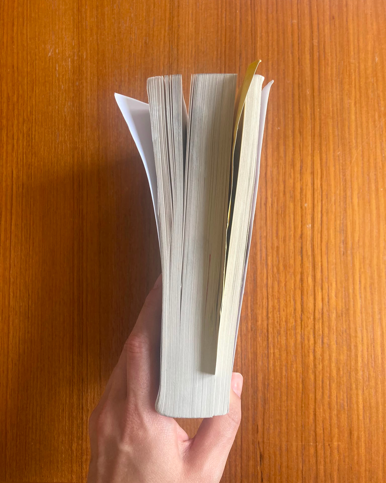 The handled fore-edge of Madame Sévigné’s “Lettres choisies.”