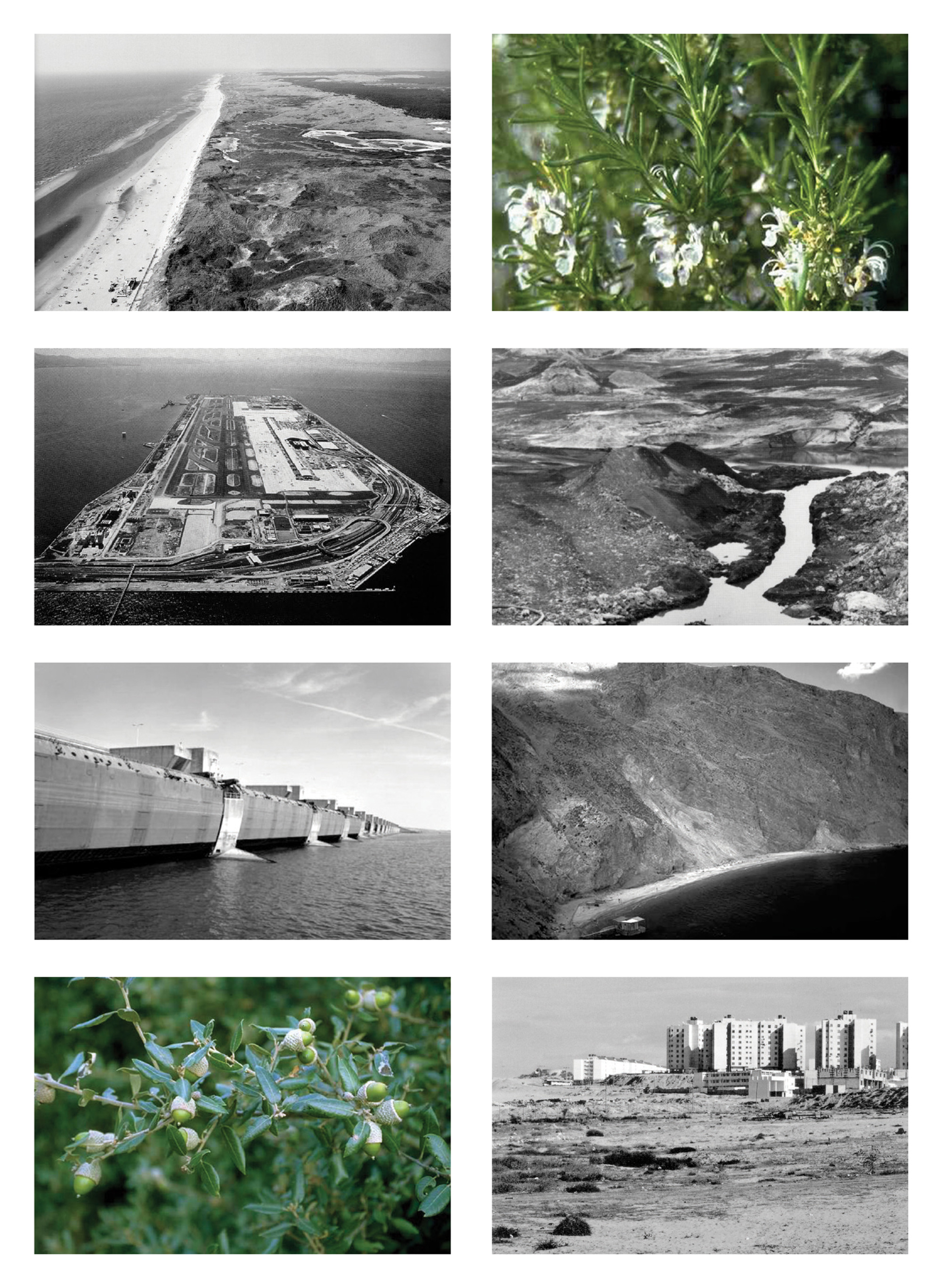 Photographs of dams, flora, and coastland.