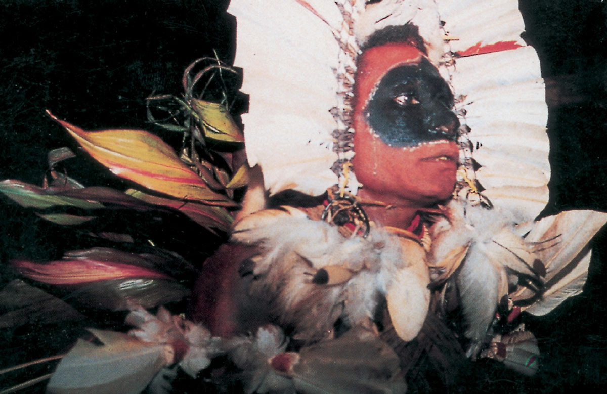 A photograph of a member of the Bosavi people in face paint and headdress, Papua New Guinea.