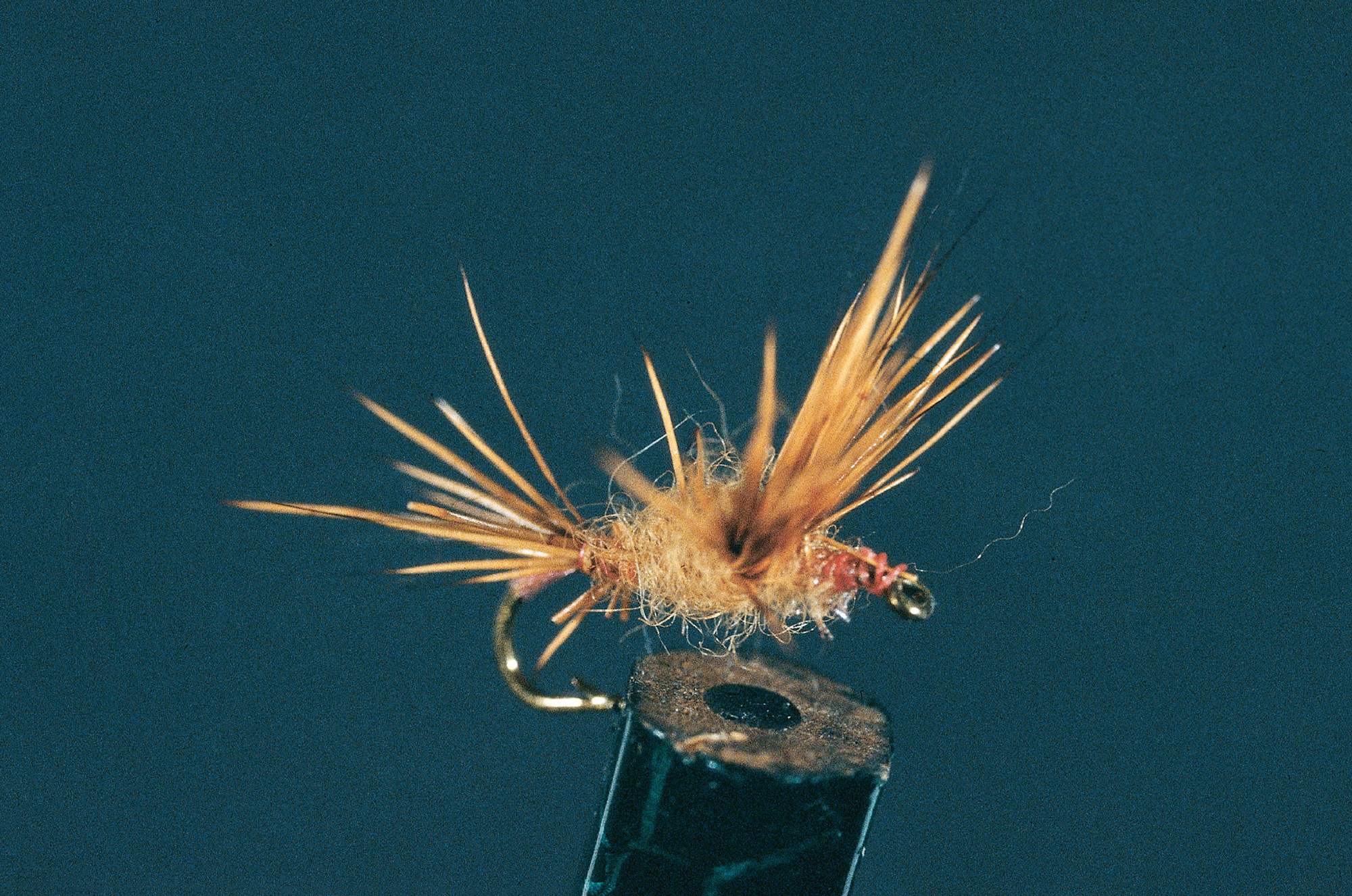 A photograph of the Haystack fly, made by Fran Betters.