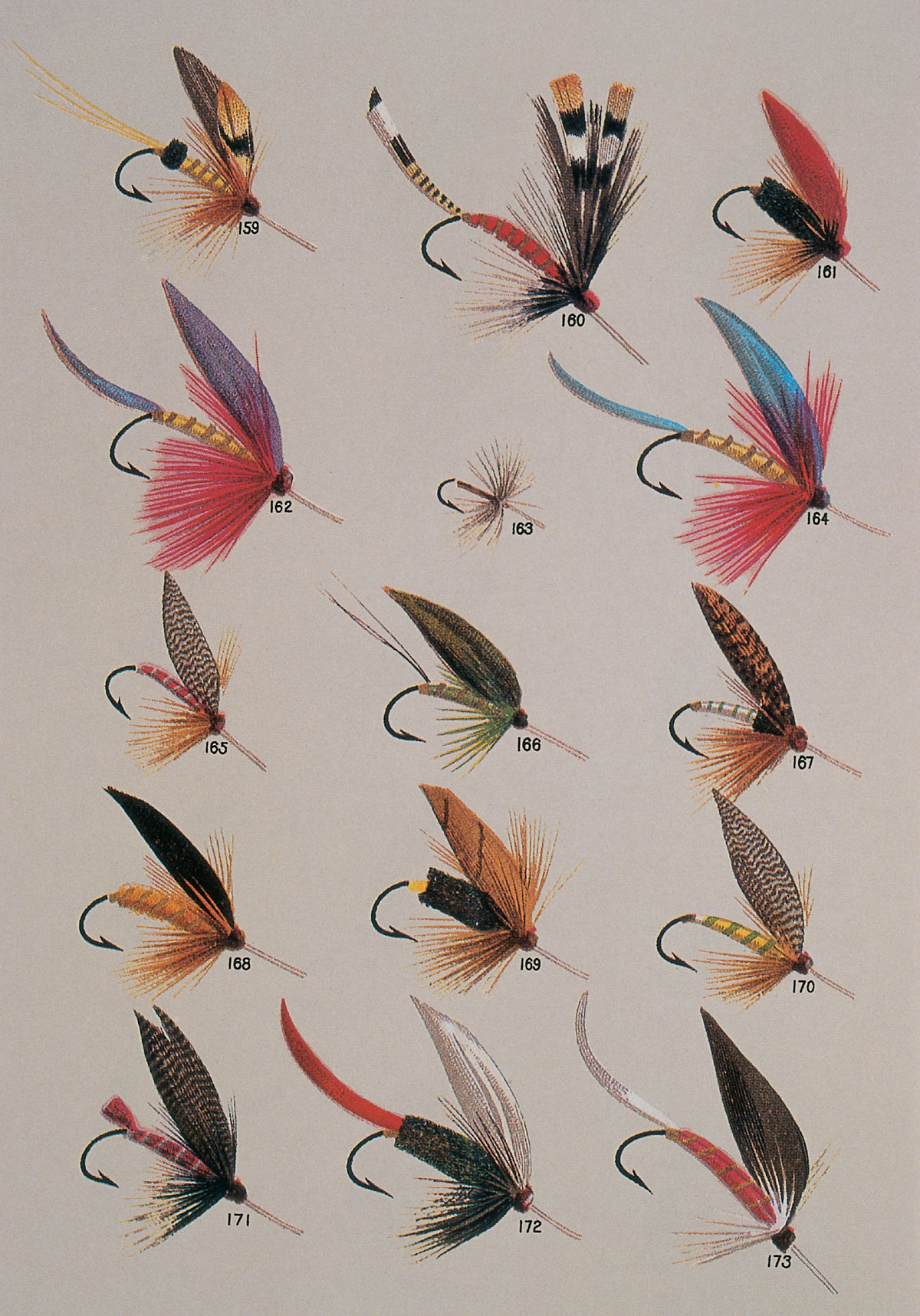 Illustrated examples of late nineteenth-century “attractor” pattern flies offered by C. F. Orvis Company.