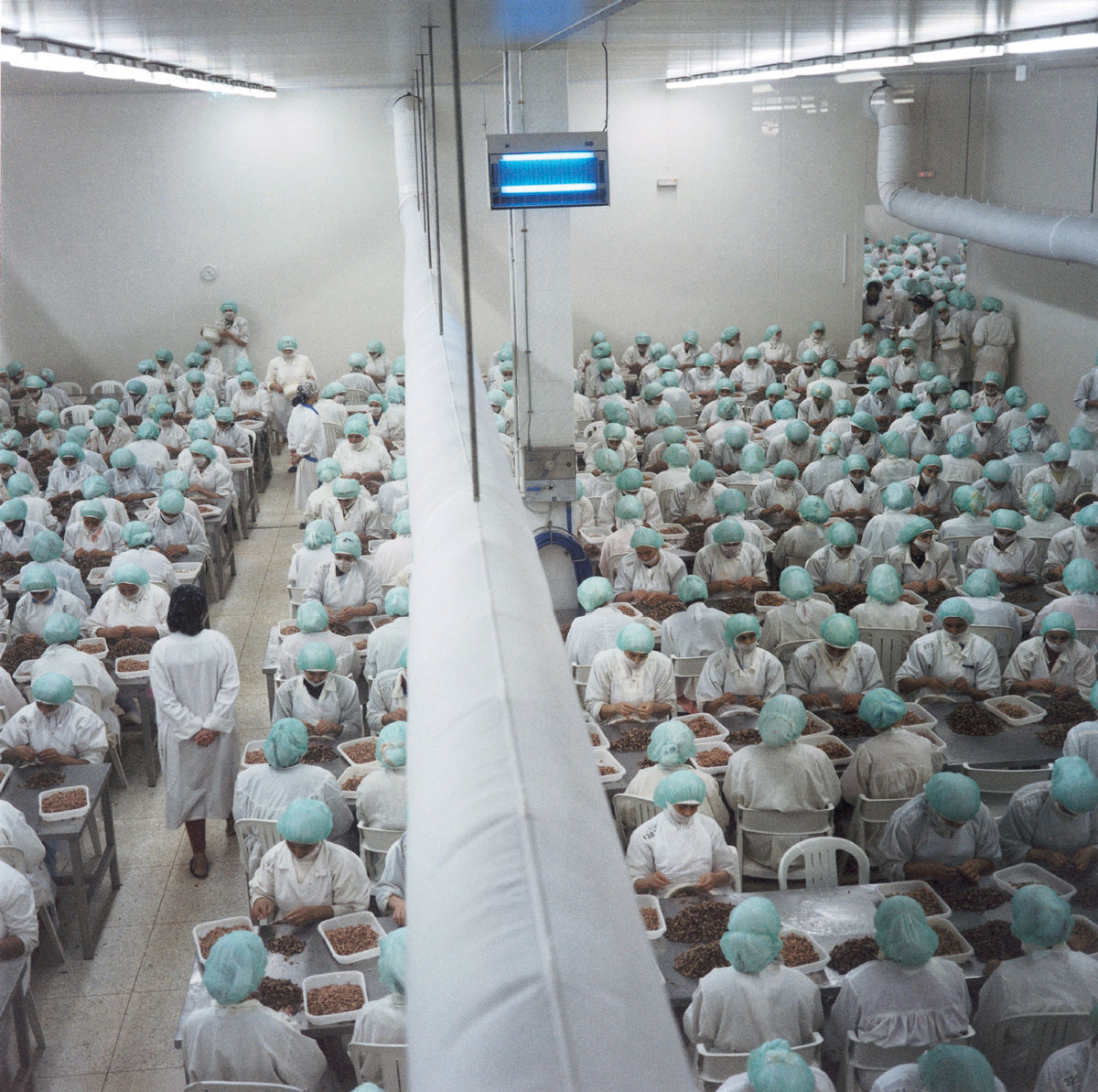 Artist Yto Barrada's 1998 photograph of factory workers in Tangier peeling shrimp, titled 