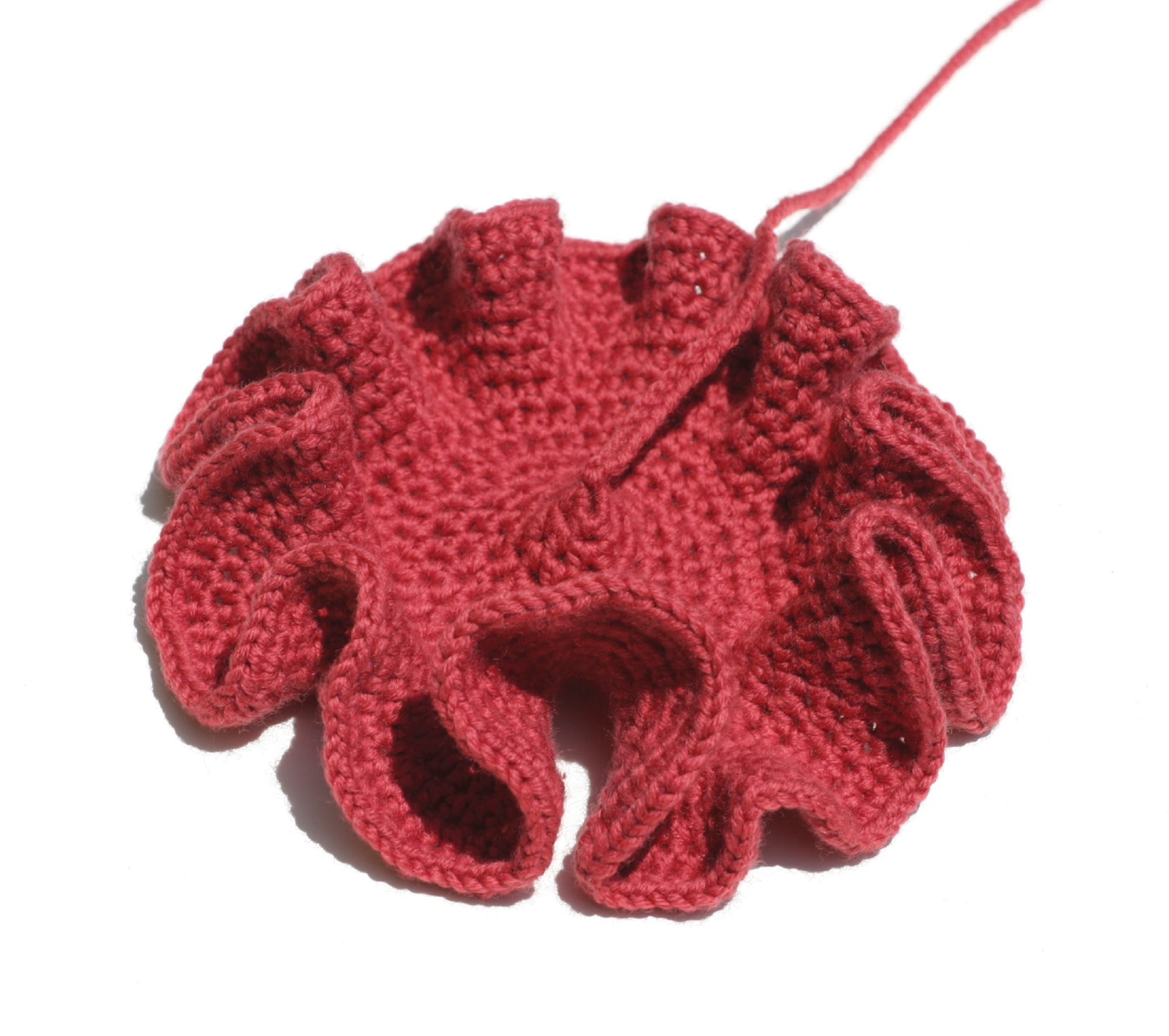 Crocheted model of pseudosphere (the hyperbolic equiavalent of a cone) by Daina Taimina. Photo Steve Rowell. Courtesy The Institute for Figuring.