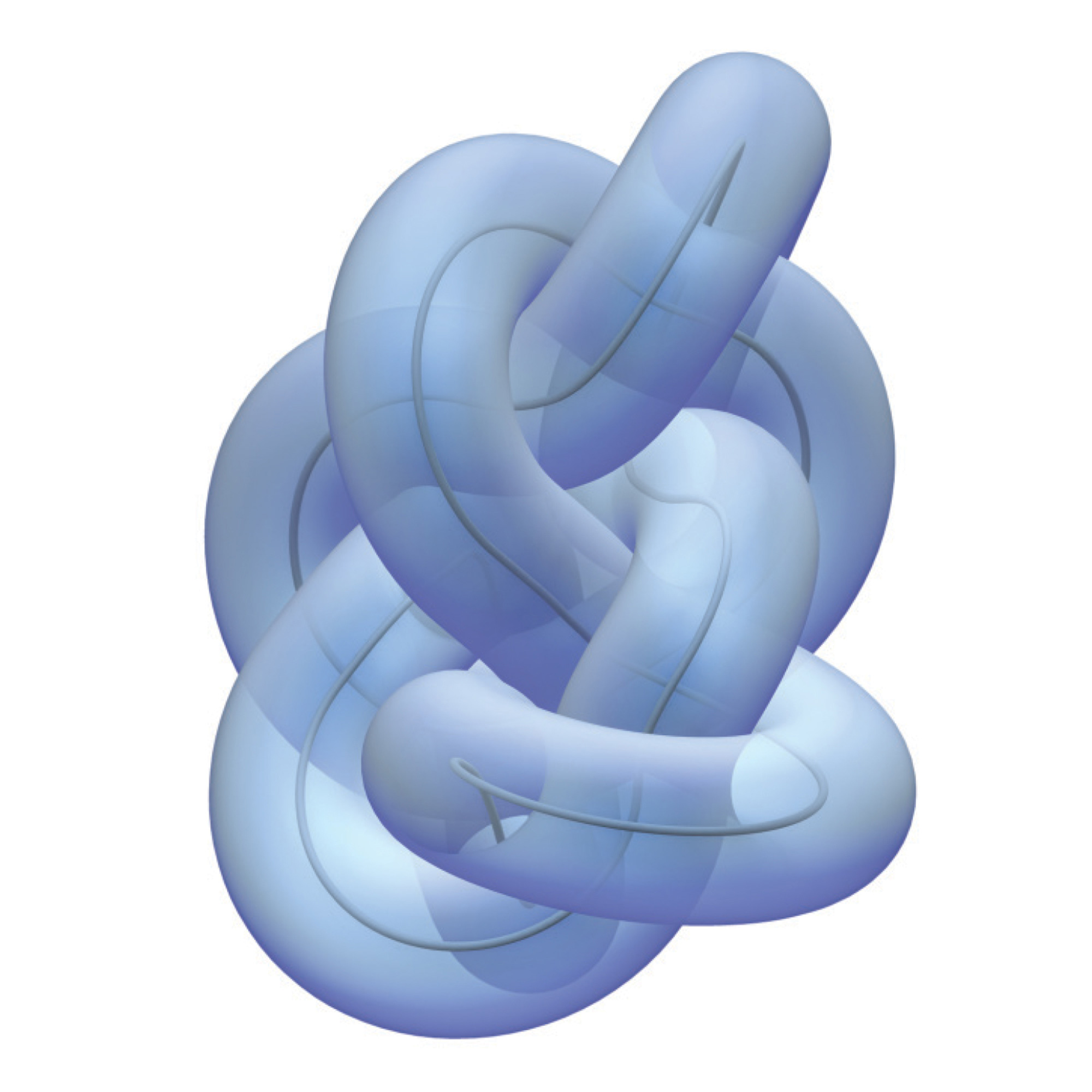 A tight knot, digitally rendered by the program RidgeRunner, with eight crossings and a score of six on the complexity scale.