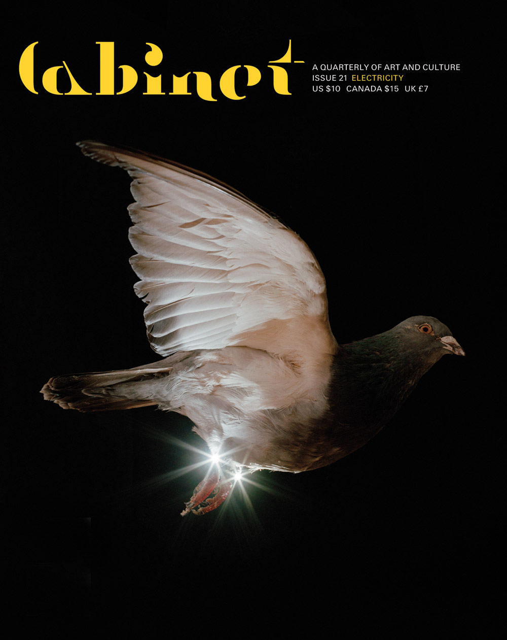 A 2005 photograph by artist Jasper van den Brink depicting a pigeon flying at night with lights attached to its feet.