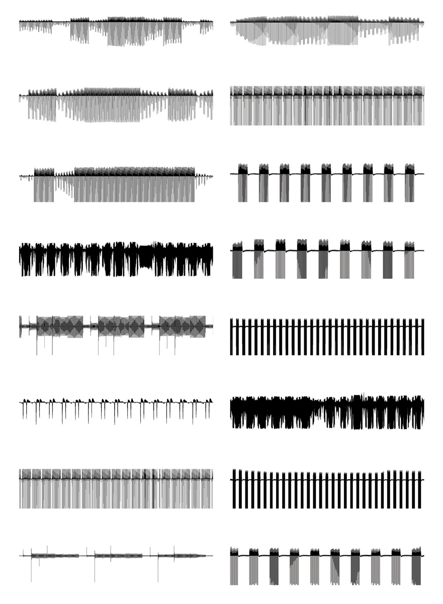 Images of audiowaves of the sounds emitted from various electromagnetic security gates found at shop entrances in London, Berlin, New York, Oxford, Paris, and Madrid; recorded in two thousand four and two thousand five.