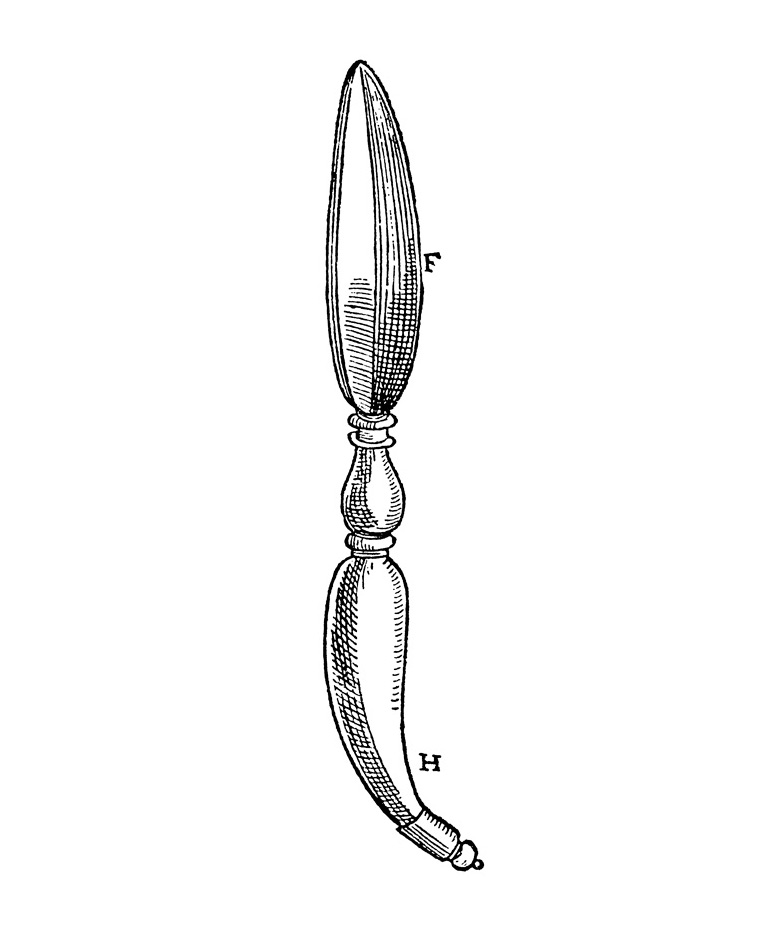 A drawing of a knife in the form of an olive leaf for shaping the nostrils. From Gasparo Tagliacozzi's fifteen ninety seven 