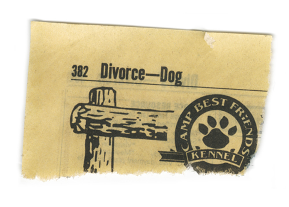 The torn corner of a Yellow Pages telephone directory: Divorce to Dog