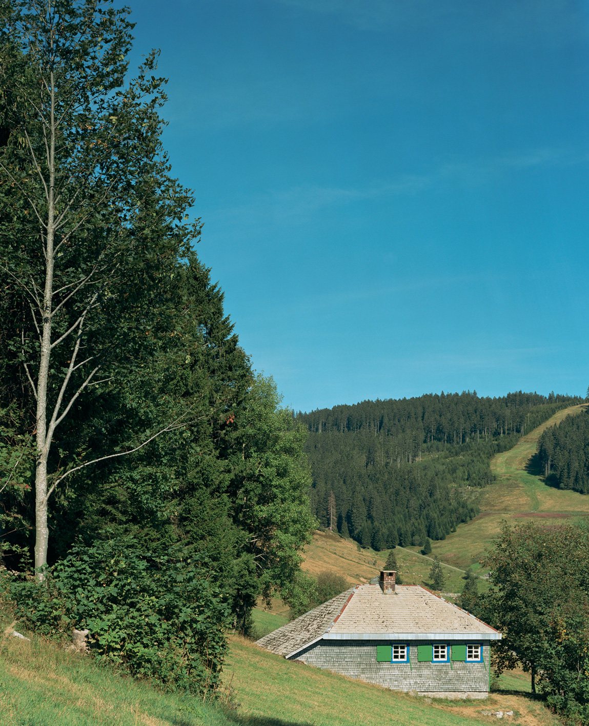 Patrick Lakey, Heidegger: Hut, Todtnauberg, Black Forest, Germany, I, 2005.