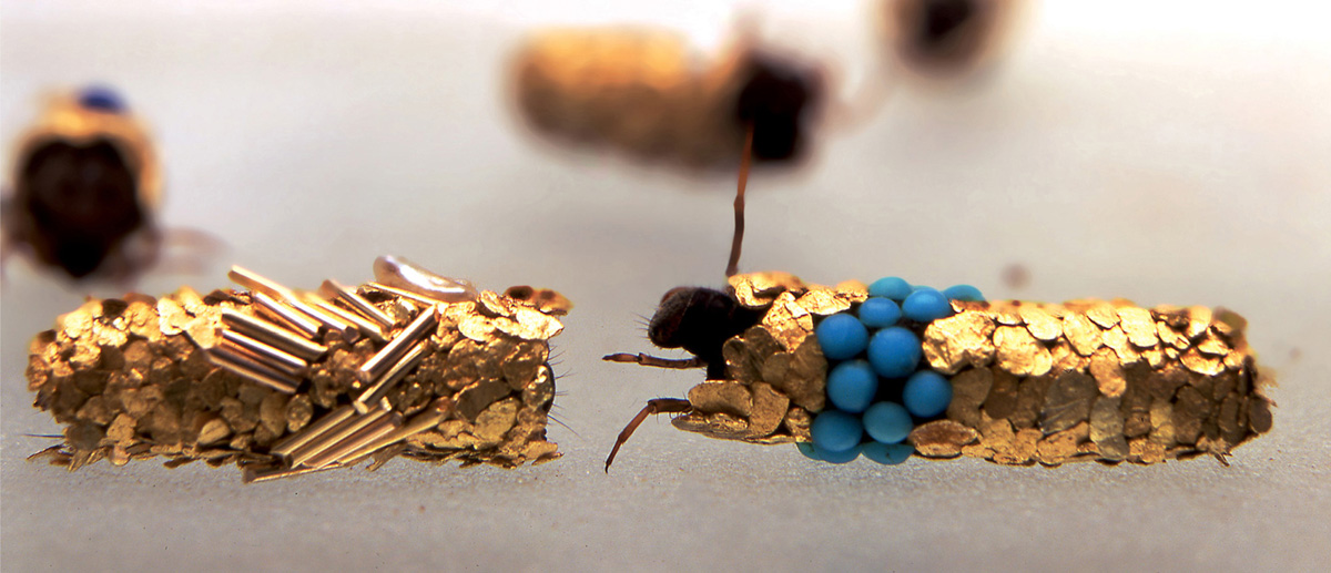 A photograph of Hubert Duprat’s aquatic caddis fly larvae, with cases incorporating gold, opal, and turquoise, among other materials. 