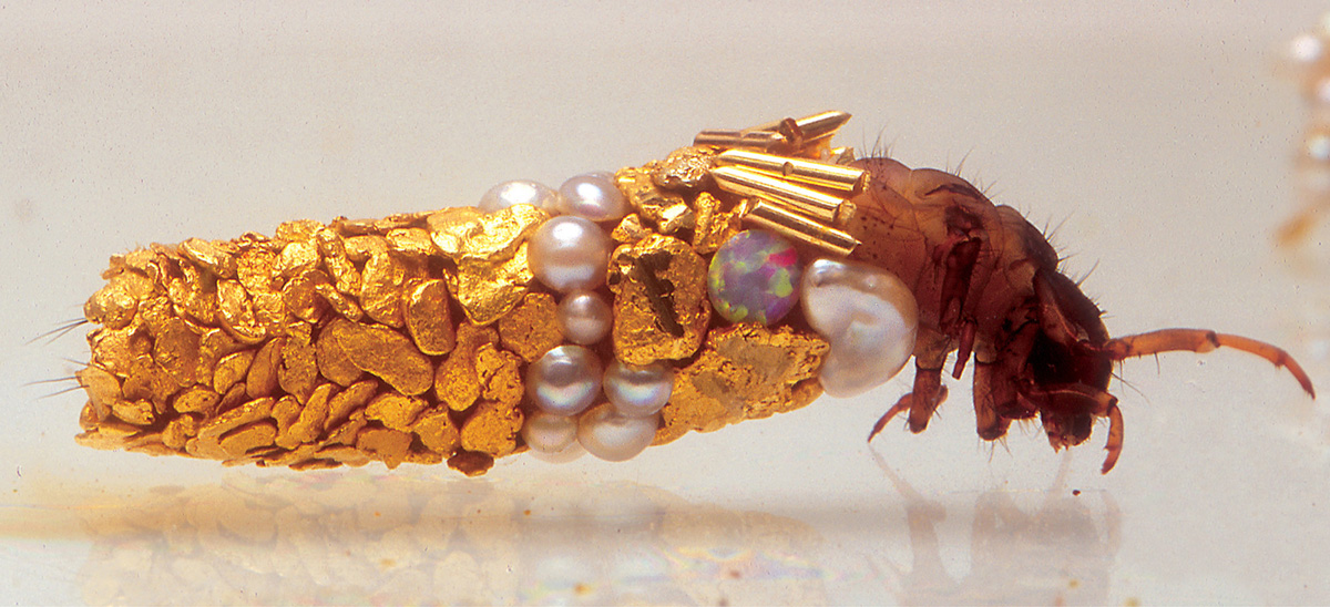 A photograph of Hubert Duprat’s aquatic caddis fly larvae, with cases incorporating gold, opal, and turquoise, among other materials. 