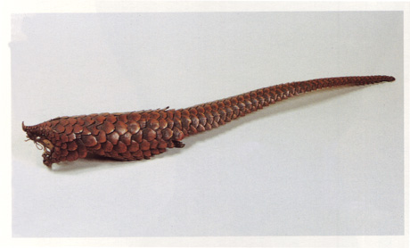 The shell of a pangolin from Breton’s collection.