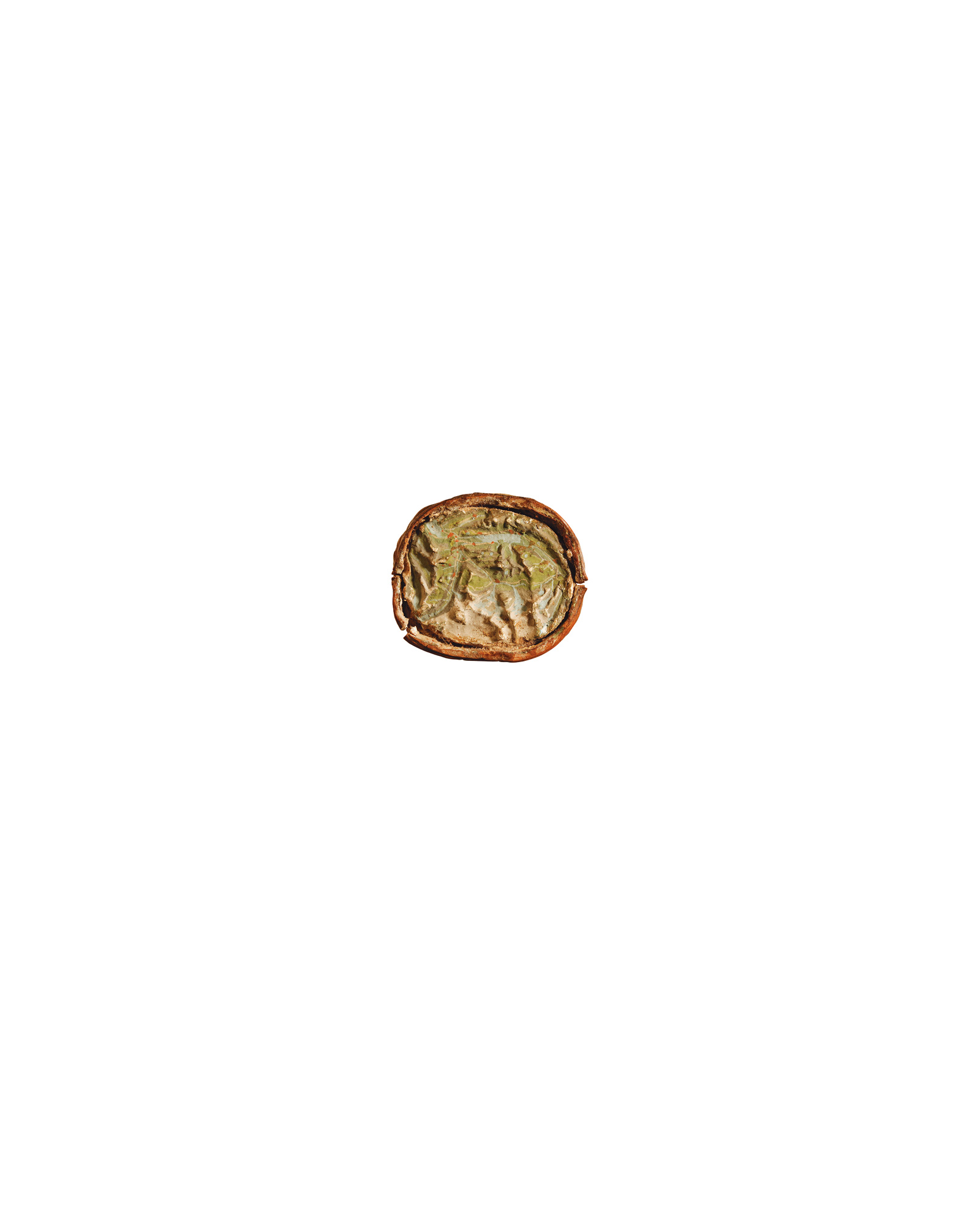 A photograph of a relief map of a portion of the Alps modeled inside a walnut shell.