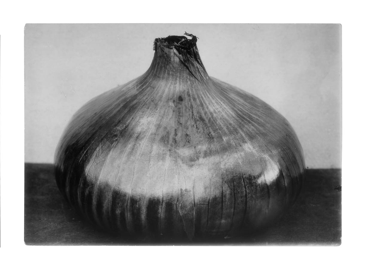An undated photograph of Charles Jones’s “Rousham Park Hero,” onion from Sean Sexton’s nineteen ninety eight book, “The Plant Kingdoms of Charles Jones.”