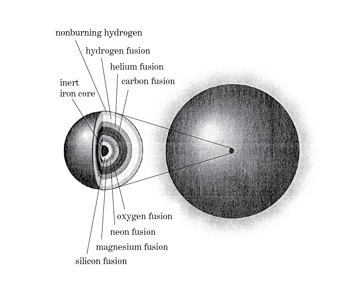 A diagram of the layers in a dying high-mass star.