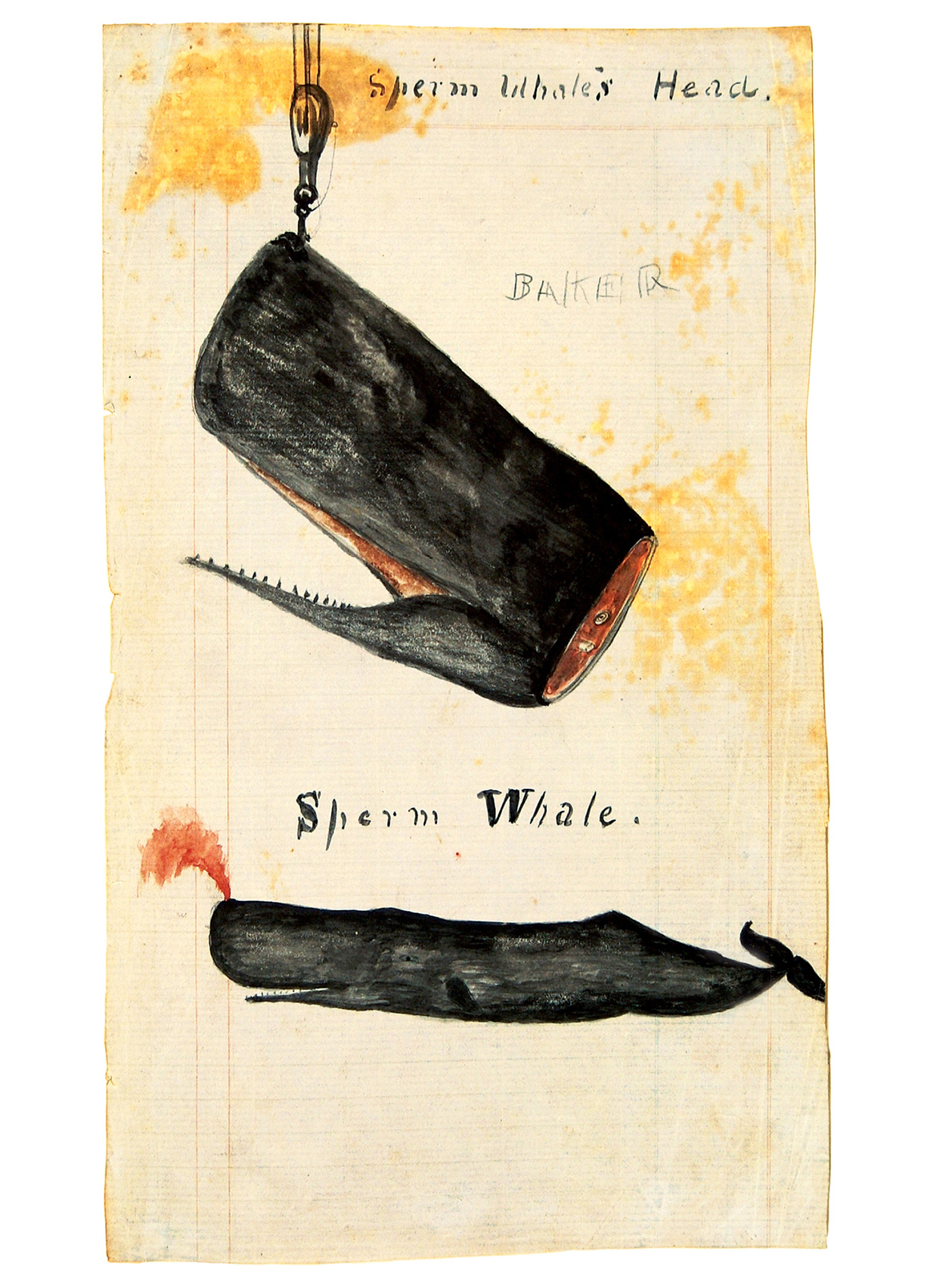 Drawing of a whale’s head being hoisted upward, from the journal of Rodolphus W. Dexter, kept aboard the bark Chili in the early 1860s. Courtesy the New Bedford Whaling Museum.
