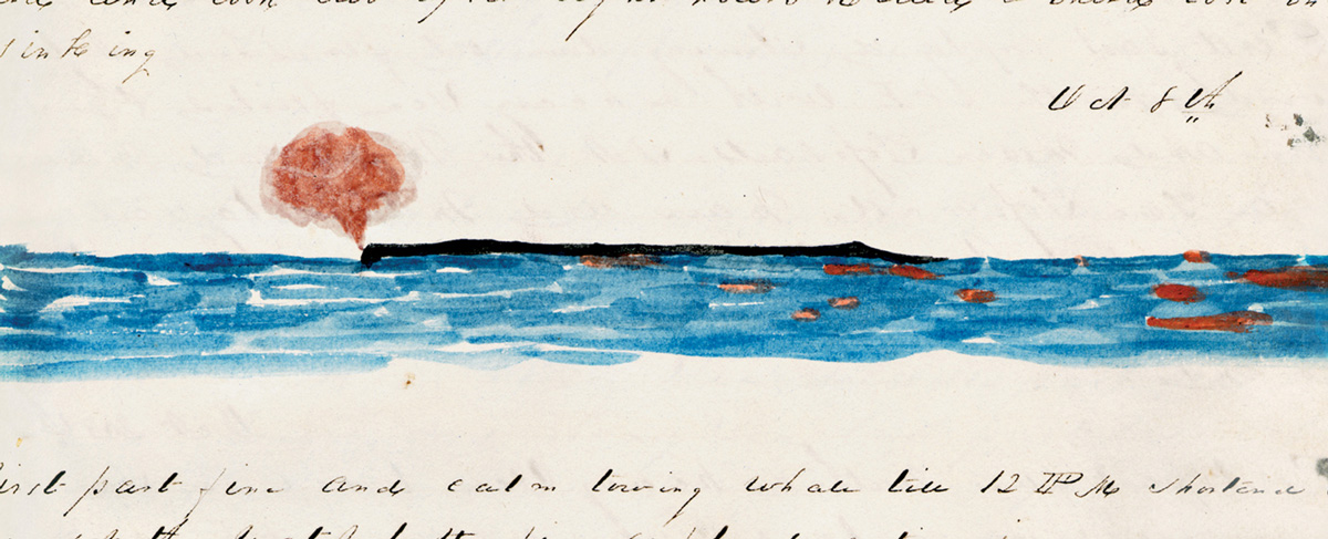 Drawing of a sperm whale at the water’s surface, from the log of the ship Columbia, early 1840s. Courtesy the New Bedford Whaling Museum.