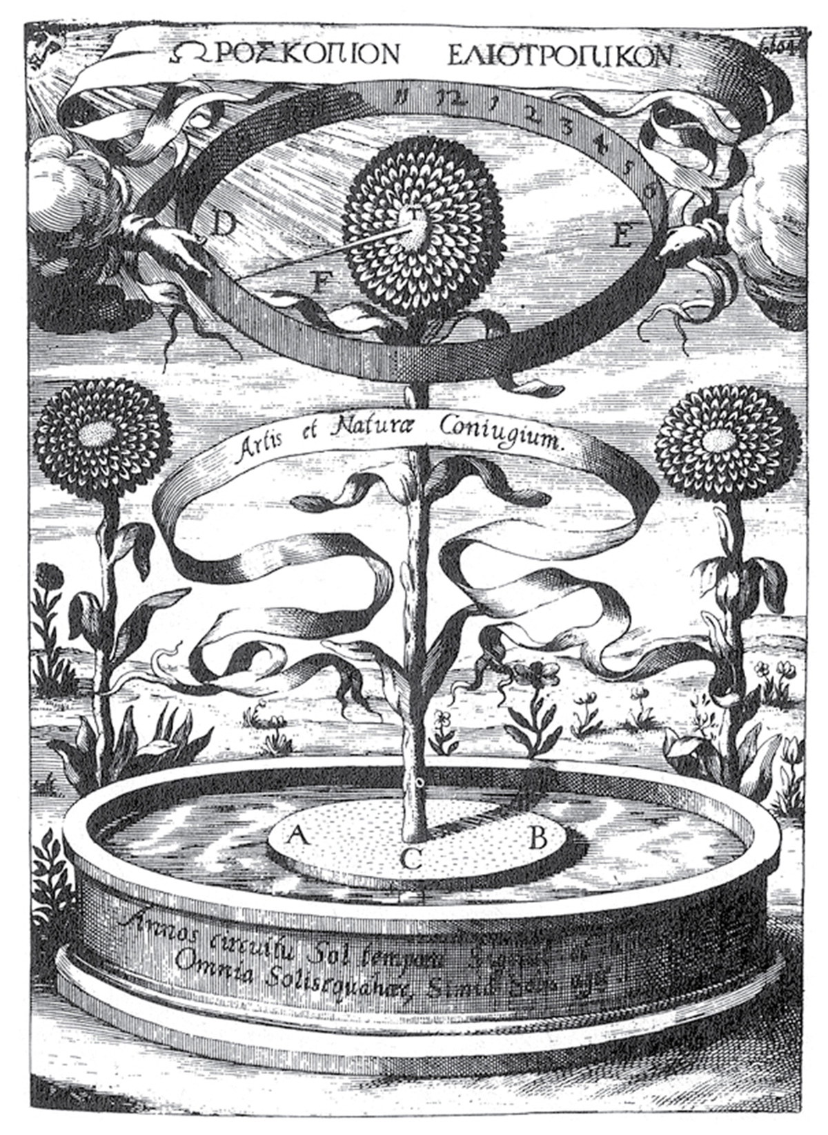 An illustration of Athanasius Kircher’s “sunflower clock.”