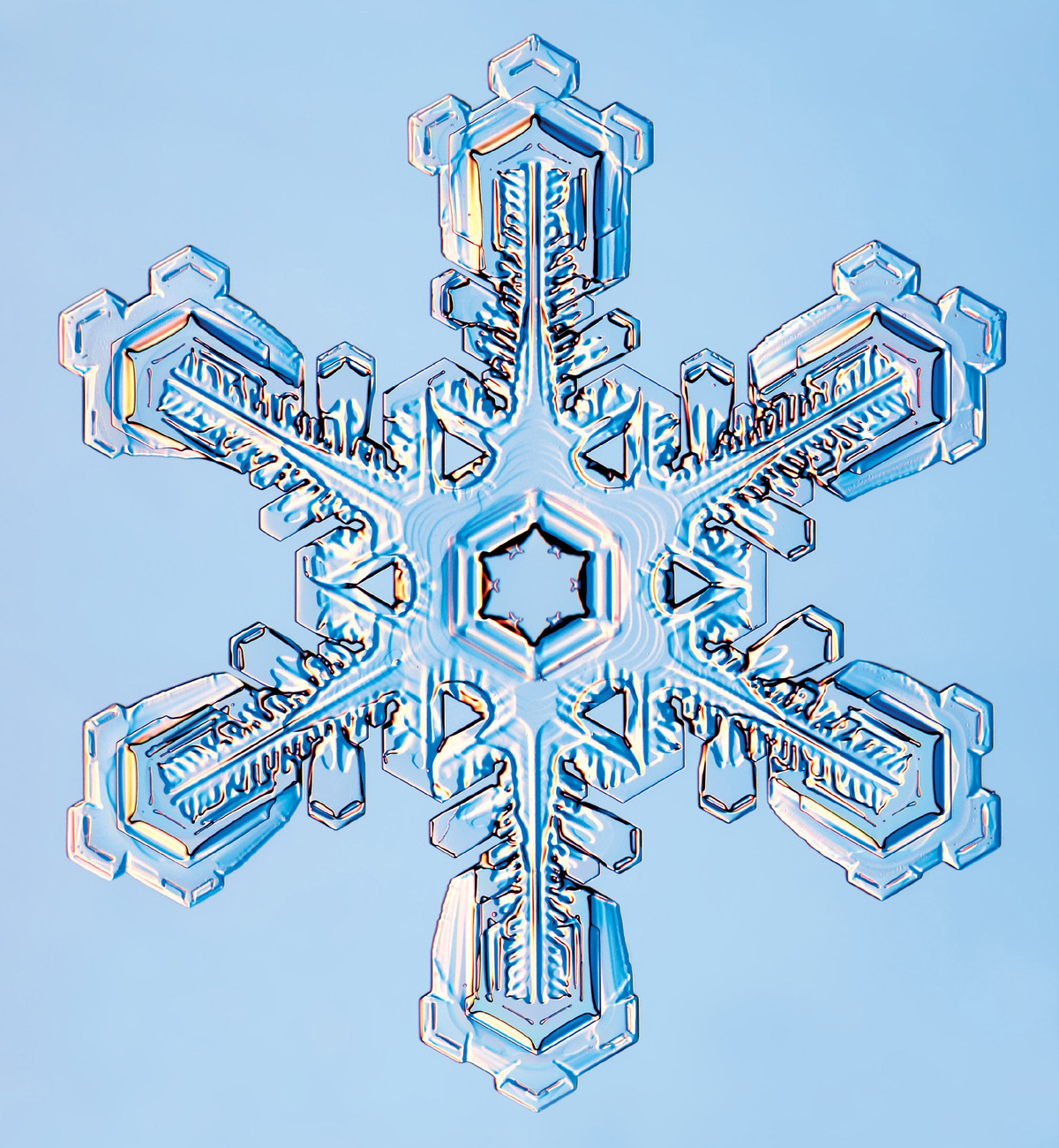 An image of a snowflake captured by Kenneth Libbrecht with a specially designed photomicroscope.