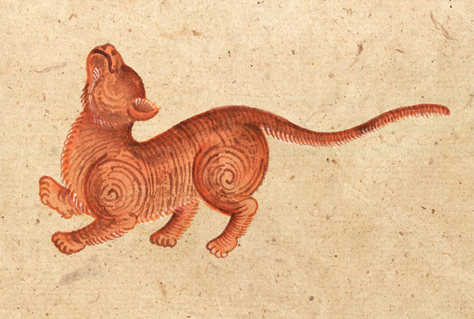 An illustration of a Suphalak (Excellence) or Thong Daeng (Copper) cat from a mid-nineteenth-century manuscript titled “Tamra Maew.” The accompanying caption reads: “Of appearance superb, a graceful feline.
Color of copper glinting,
Eyes lit like shining rays
Against all evil, malevolence turns to content.”