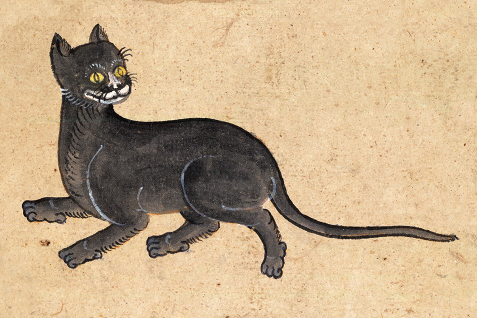 An illustration of a Singha Sep (Lion) cat from a mid-nineteenth-century manuscript titled “Tamra Maew.” The accompanying caption reads: “The Lion is a black-bodied breed.
White around the mouth, around
The neck’s conch-shell mane, and on nose tip.
Gamboge eyes, drops of water fading in light.”