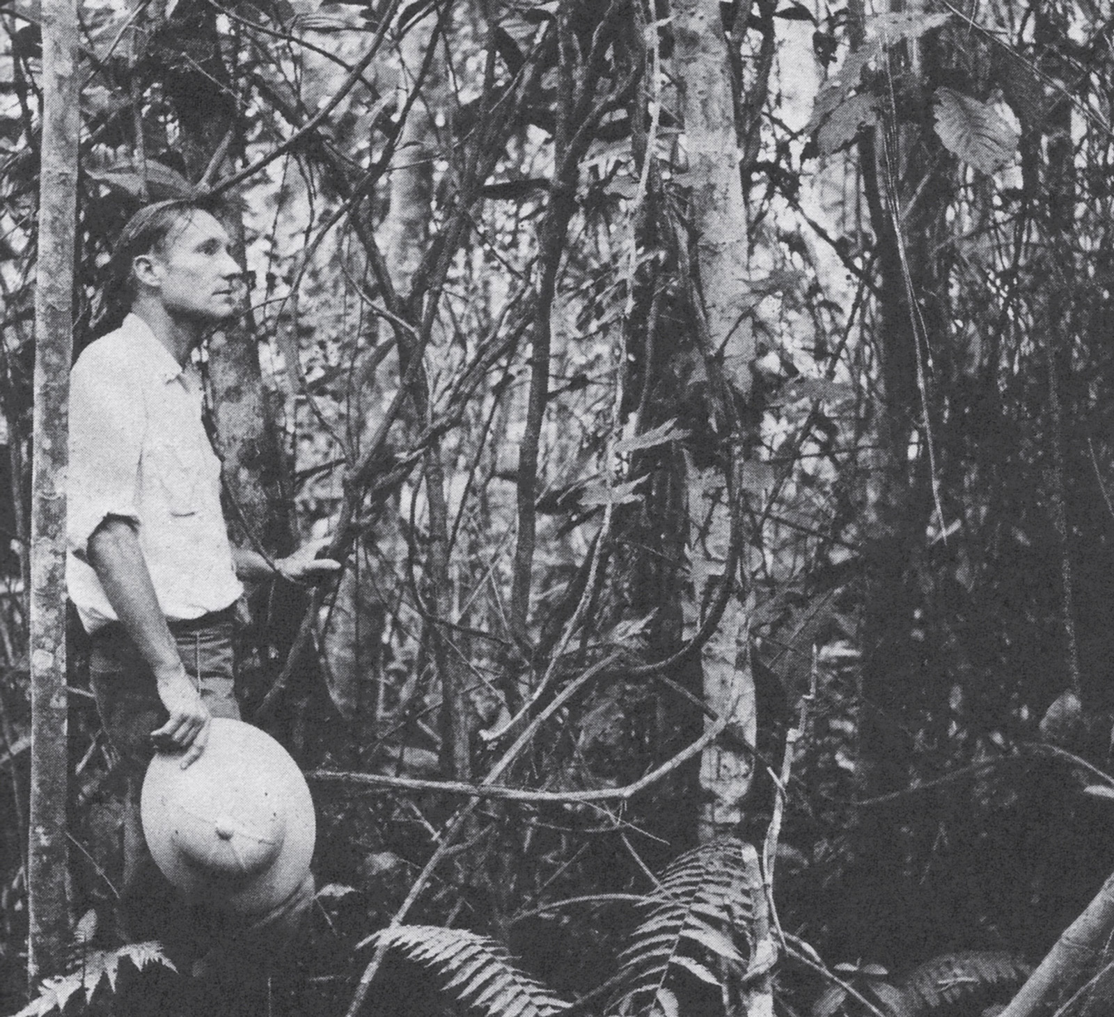 A photograph of William Burroughs surrounded by yagé vine in the jungle outside Mocoá, Colombia, nineteen fifty-three.