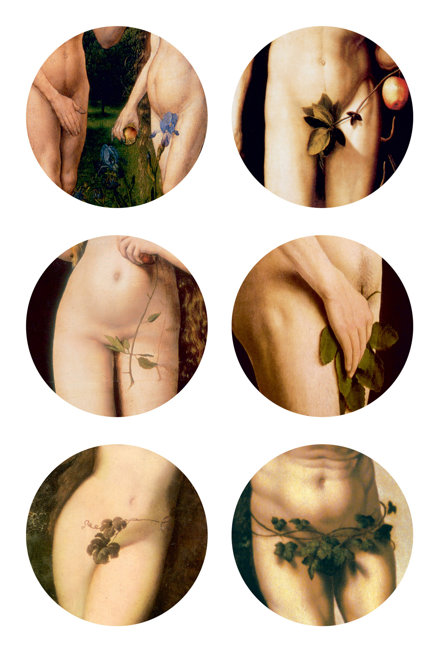 Six close-up paintings of crotches covered by leaves. The paintings include: “The Fall of Man,” circa 1470 by Hugo van der Goes; “Adam and Eve,” circa 1510 by Lucas Cranach the Elder; “Adam and Eve,” circa 1599 by Peter Paul Rubens; “Adam and Eve,” circa 1507 by Hans Baldung Grien; “The Ghent Altarpiece,” circa 1432 by Hubert and Jan van Eyck; and finally, “Adam and Eve,” circa 1520, by Jan Gossaert. 