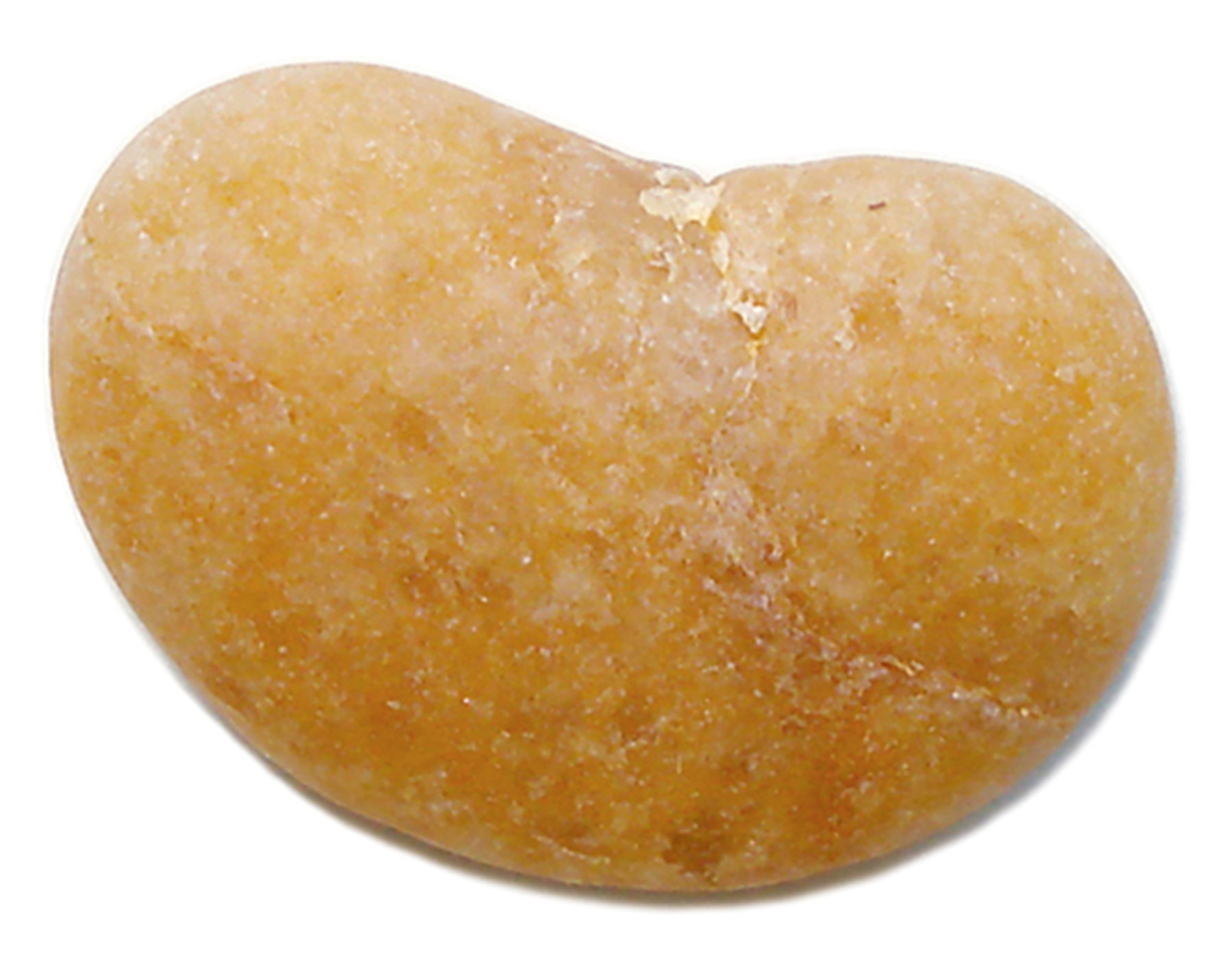 A photograph of a rock which resembles a bean. 