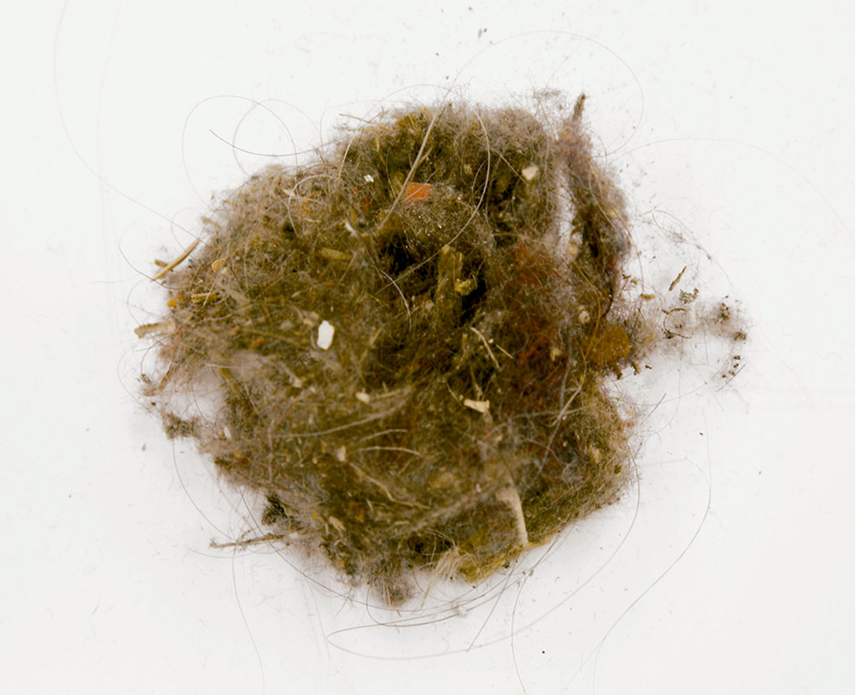 A photograph of a dusty mothball. 
