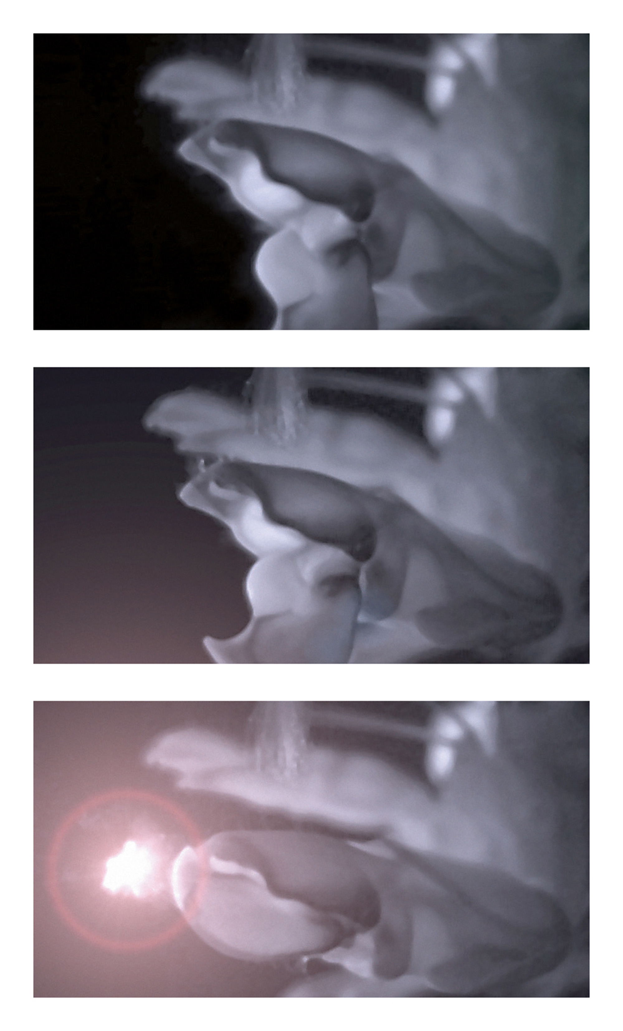 Three frames from a high-speed video, the first showing the cocked shooter claw of a snapping shrimp, the second its closing action, and, the third, the collapse of the resulting cavitation bubble.