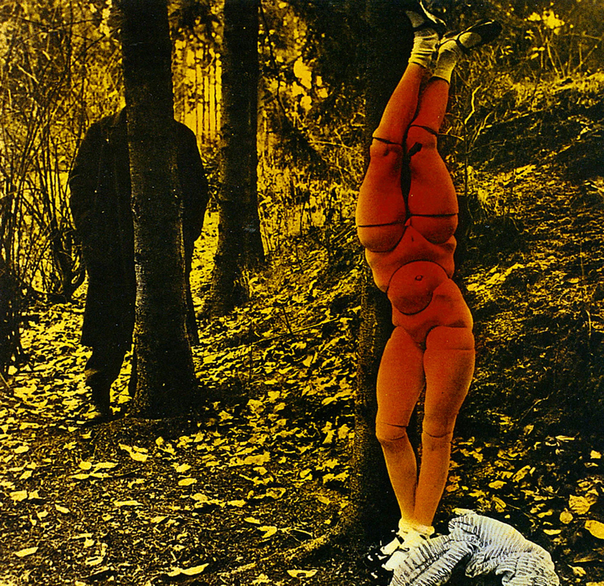 Hans Bellmer’s nineteen thirty five artwork titled “The Doll,” a photograph of a sculpture with four legs, conjoined waists, and no arms or heads. Behind a tree, another figure lurks. 
