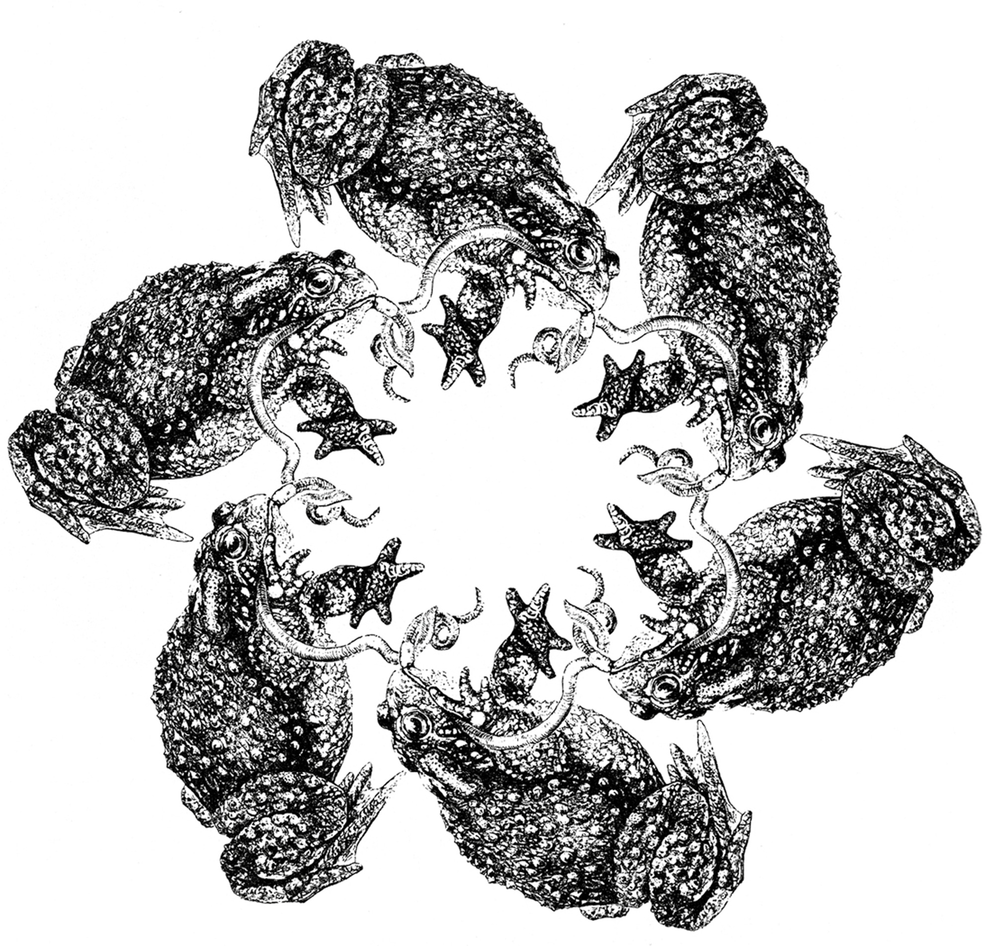 A modified version of a drawing by J. J. Grandville of a “knot” of toads biting a daisy chain of earthworms. 