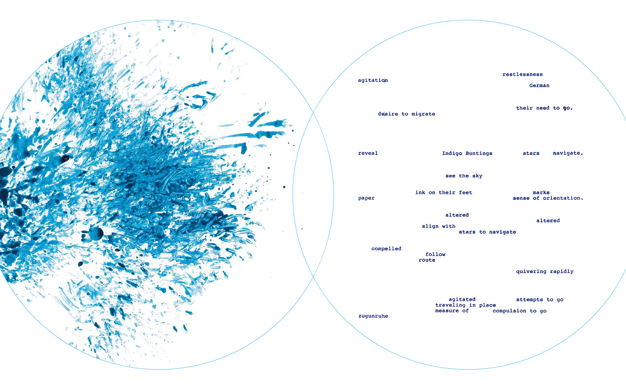 Rachel Berwick’s abstract artwork, which looks like a venn diagram. On the left are feather-like splashes of blue. On the right, a constellation of words.