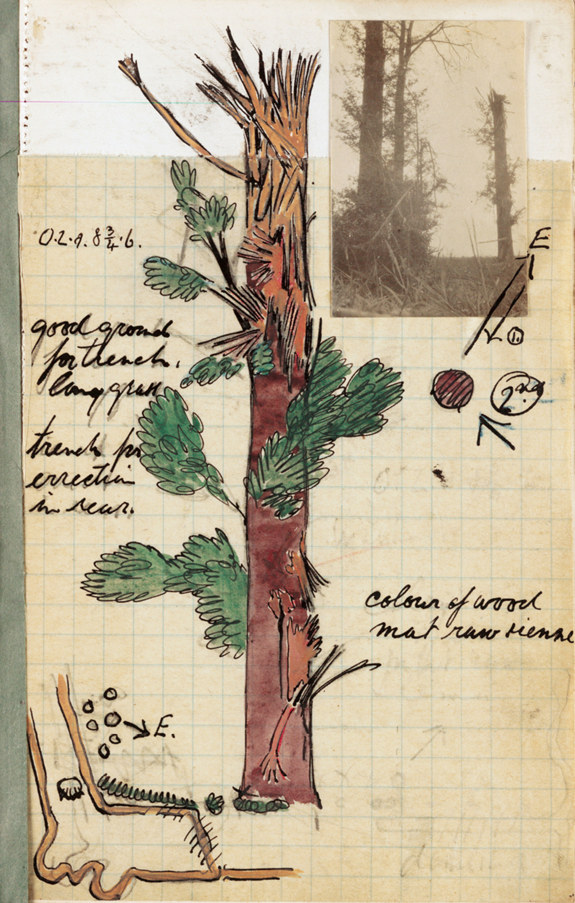 A drawing with collaged photograph from Leon Underwood’s notebook showing details of a tree that would later serve as the model for a camouflage observation post. An arrowed E indicates the enemy’s view of the tree.
